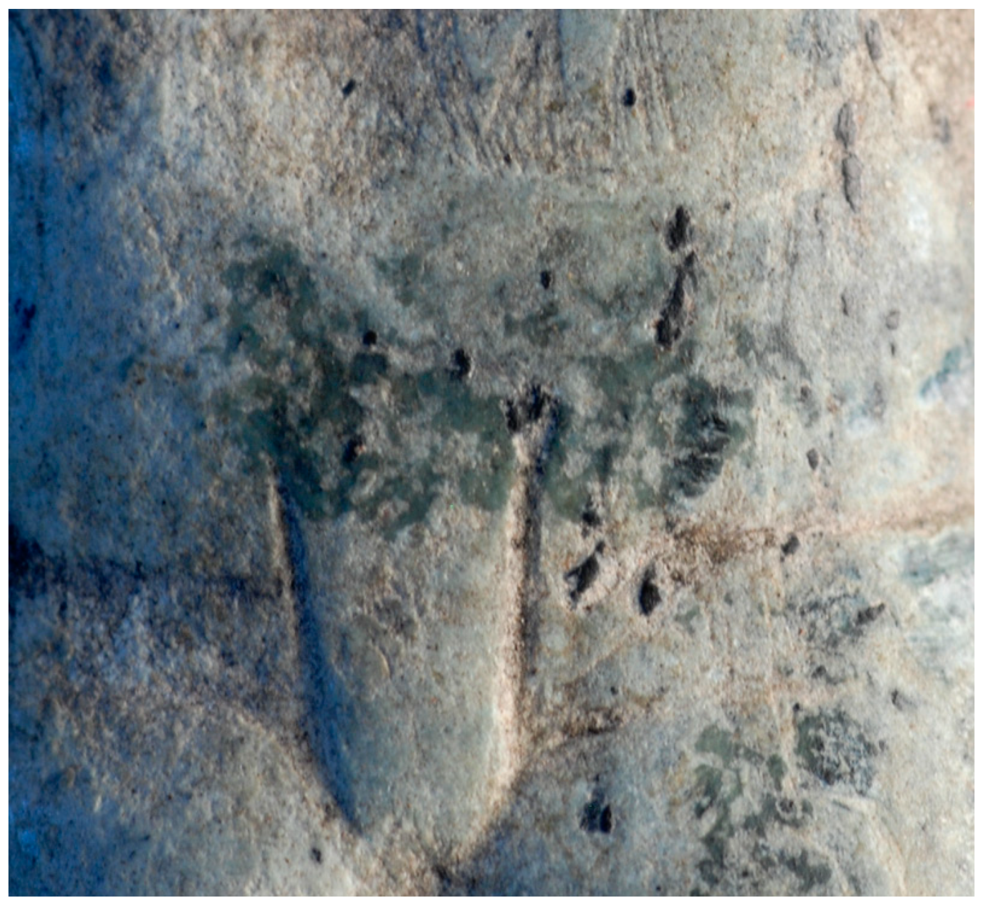 Religions 15 00153 g014