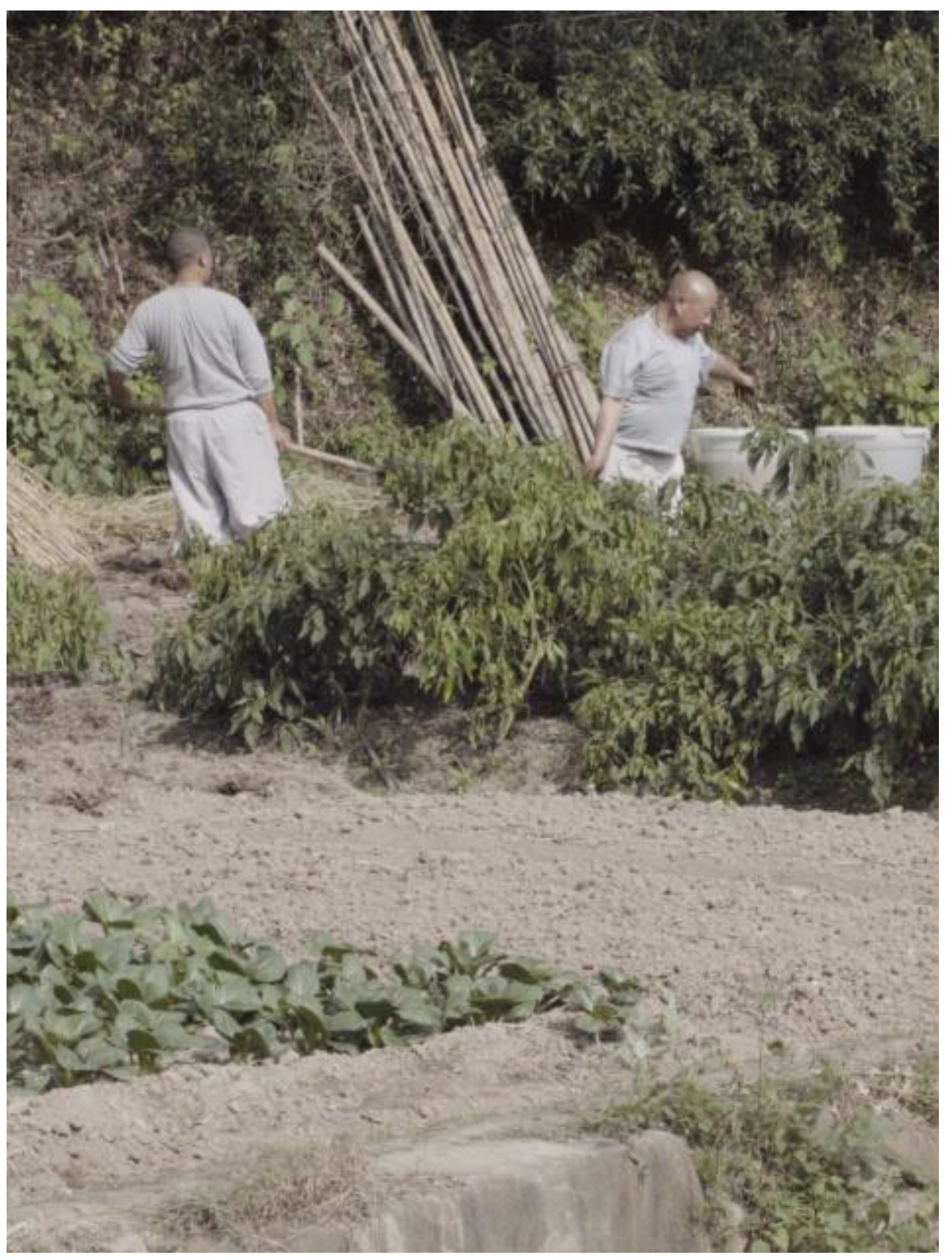 Religions 15 00217 g041