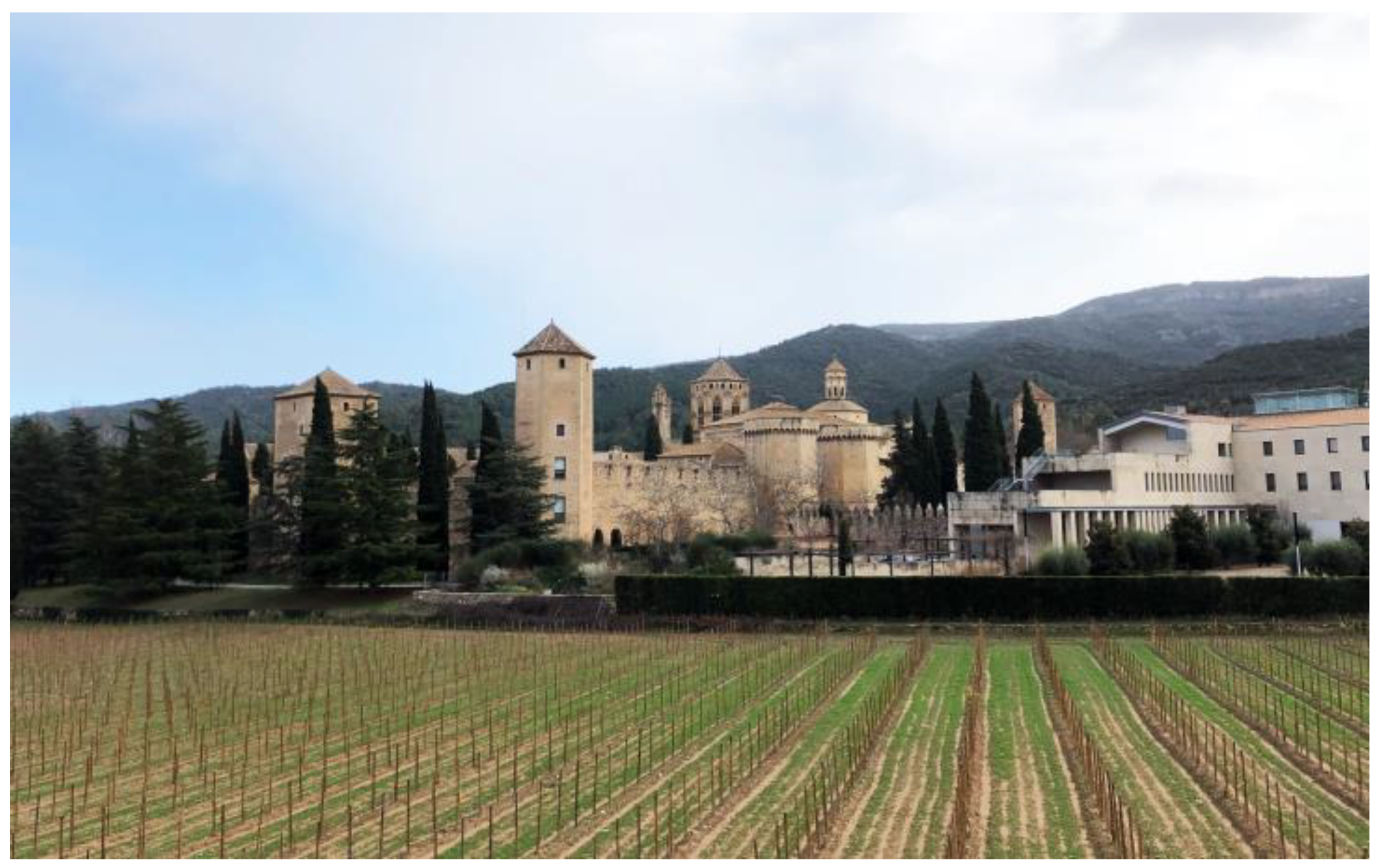 Religions 15 00217 g047