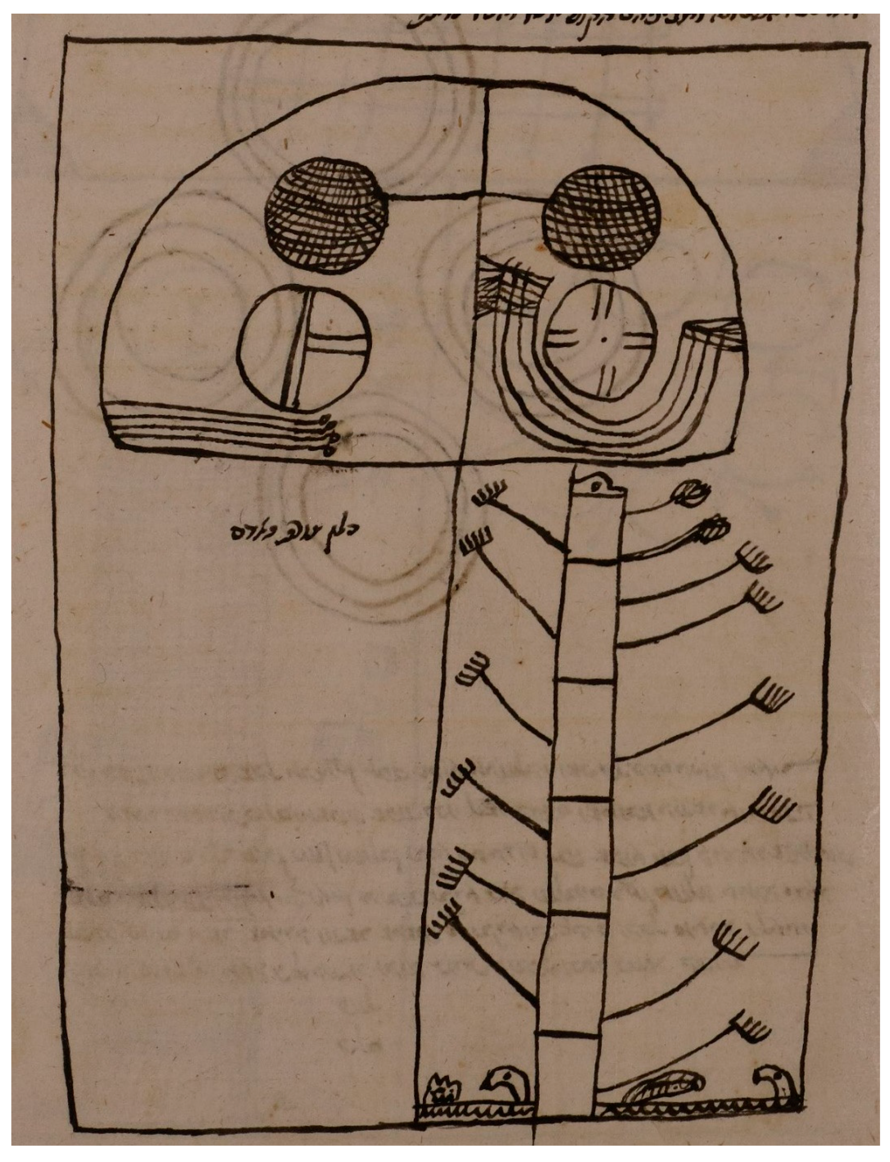 Religions 15 00339 g011