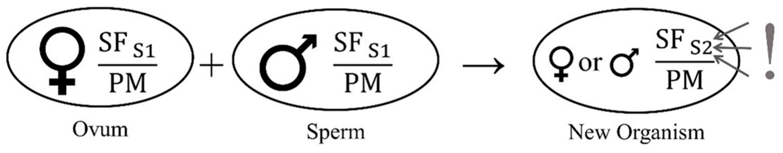 Religions 15 00524 g001