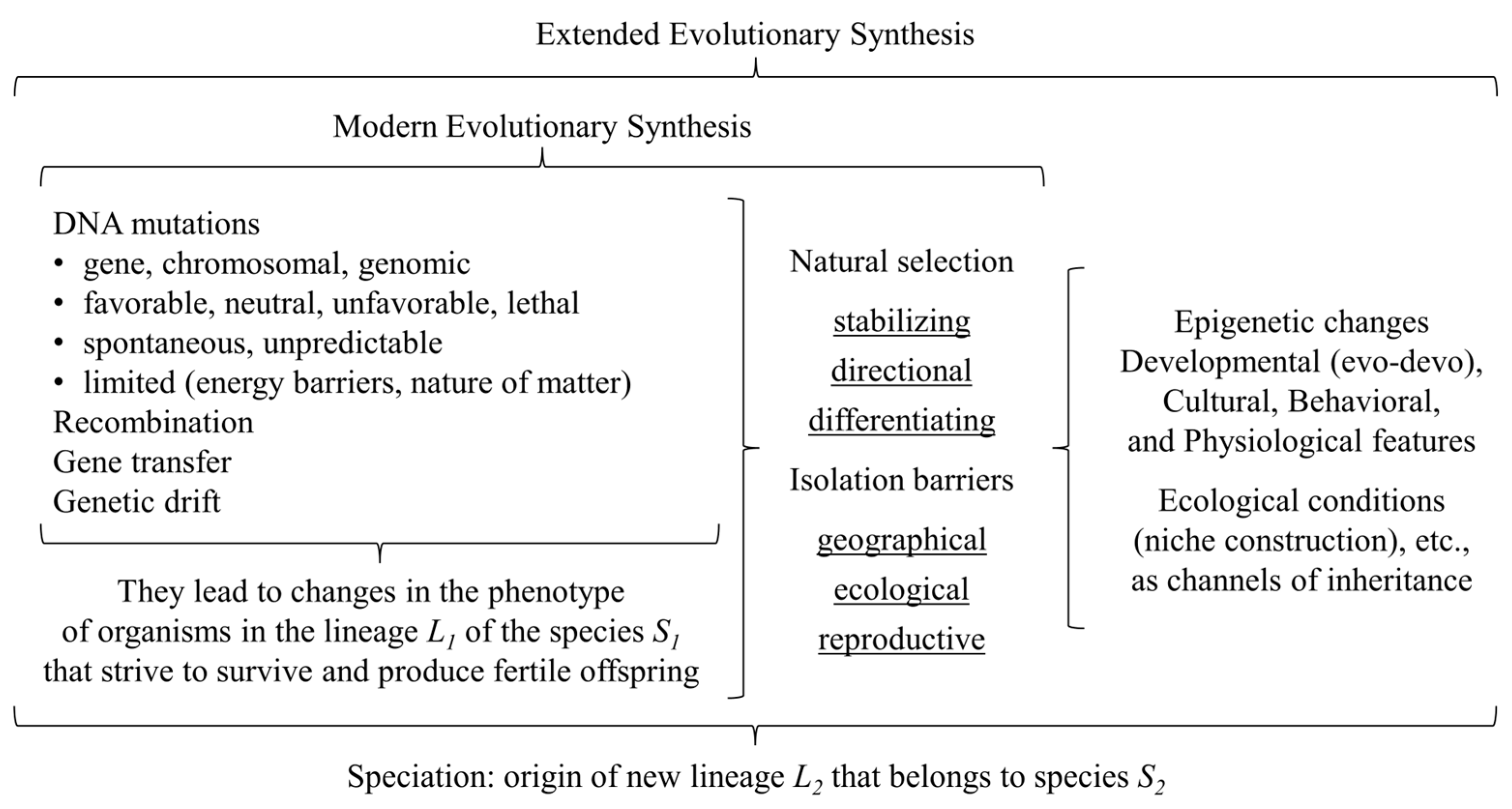 Religions 15 00524 g002