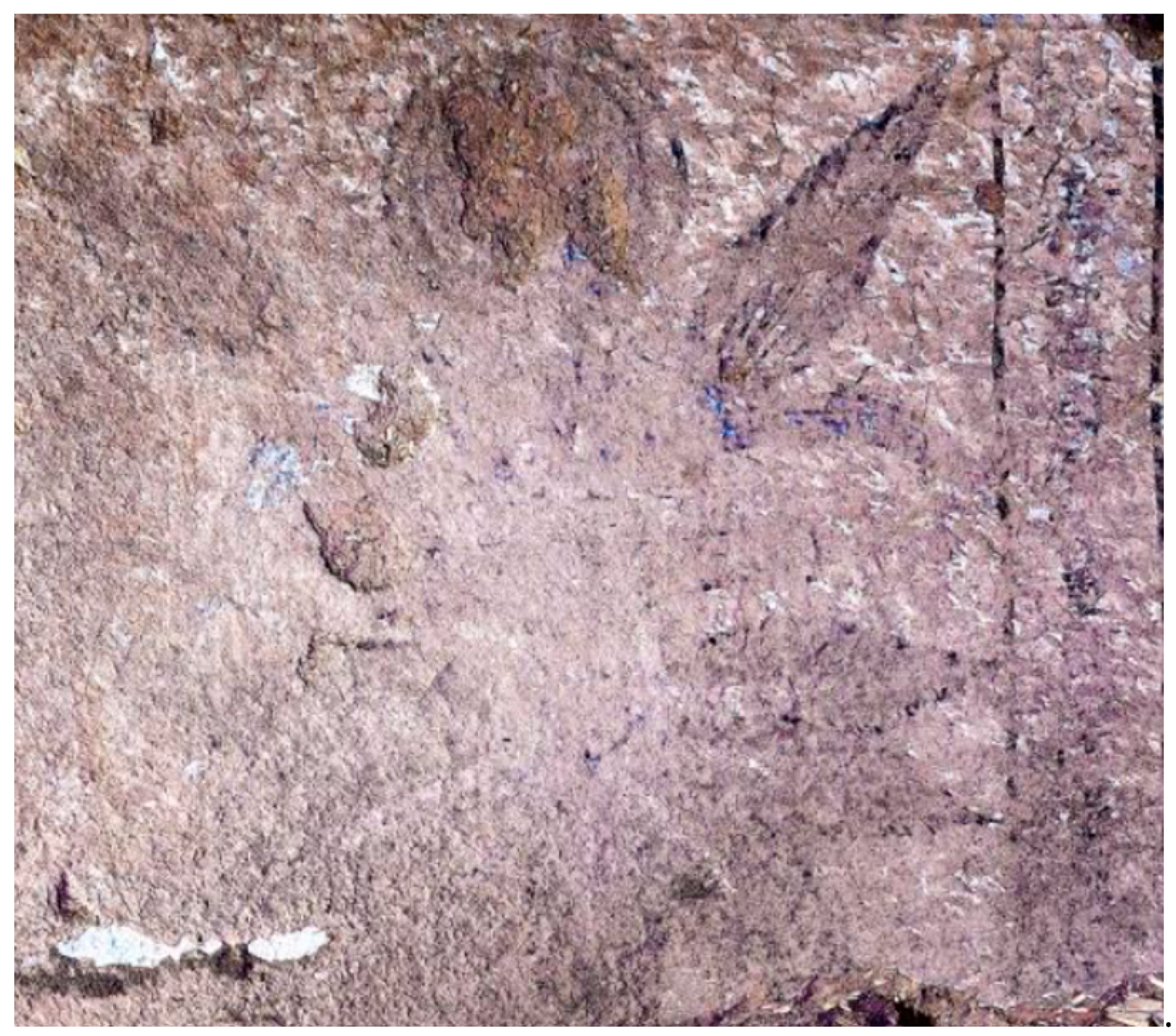 Religions 15 00576 g017