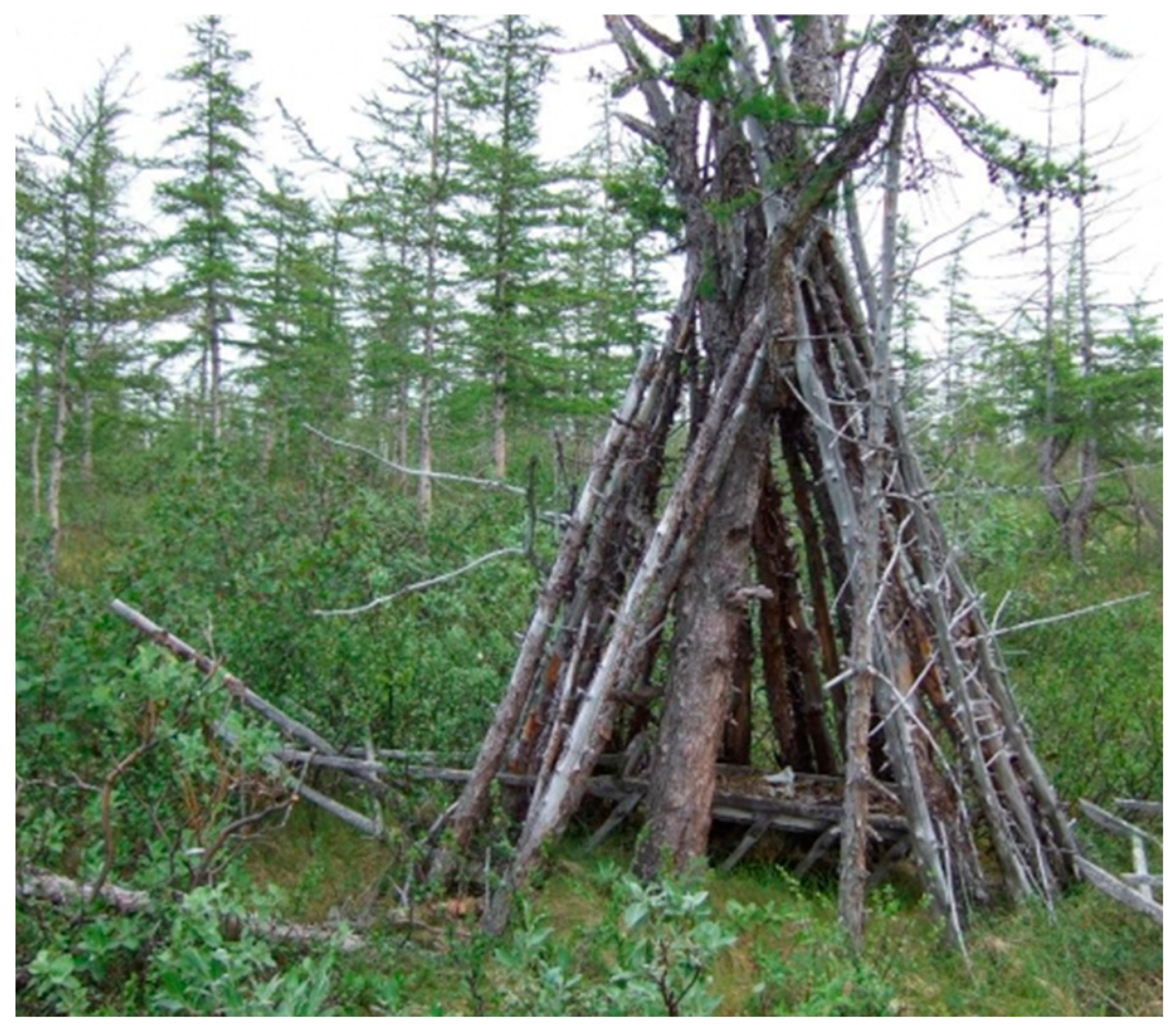 Religions 15 00740 g003