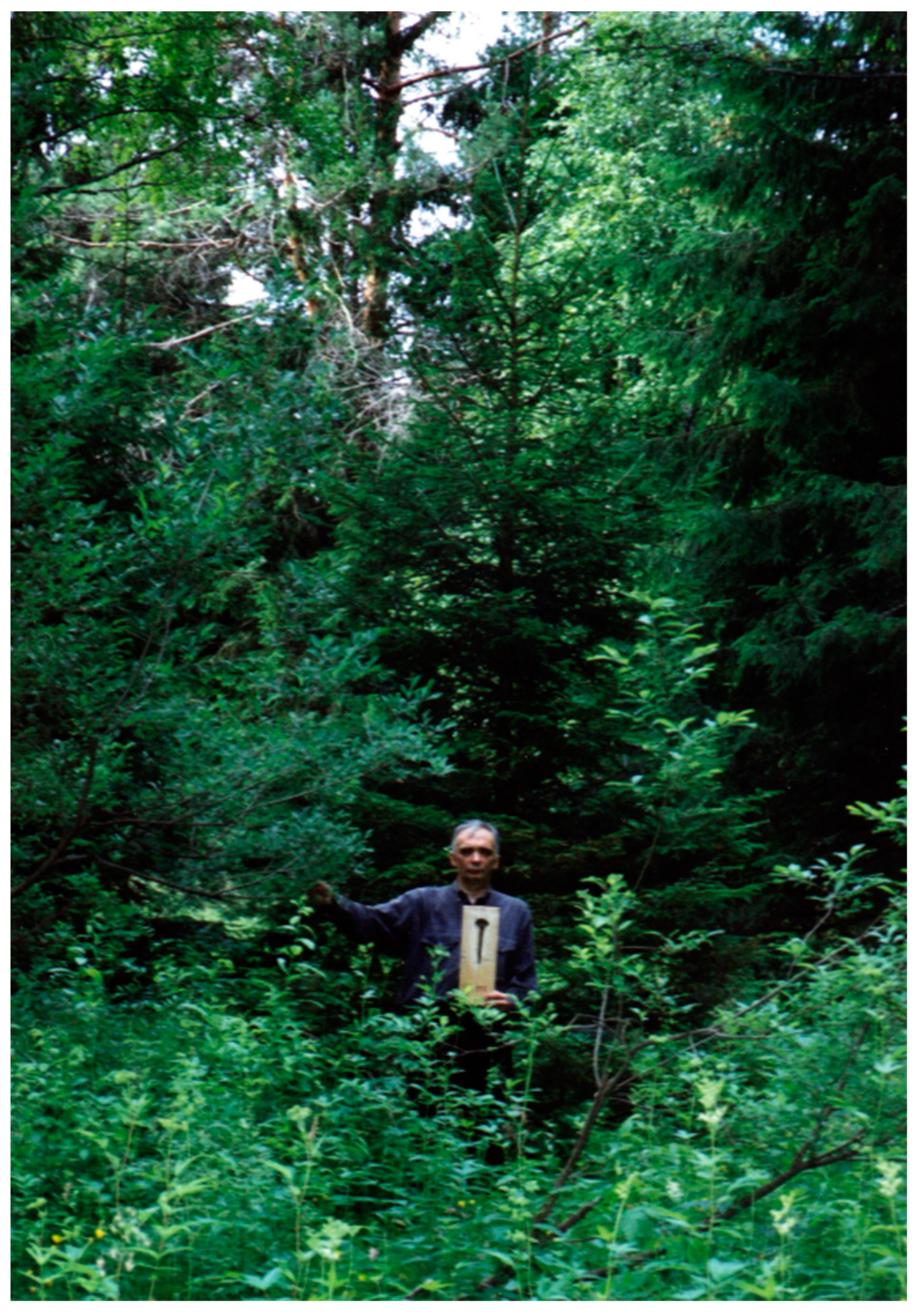 Religions 15 00777 g001