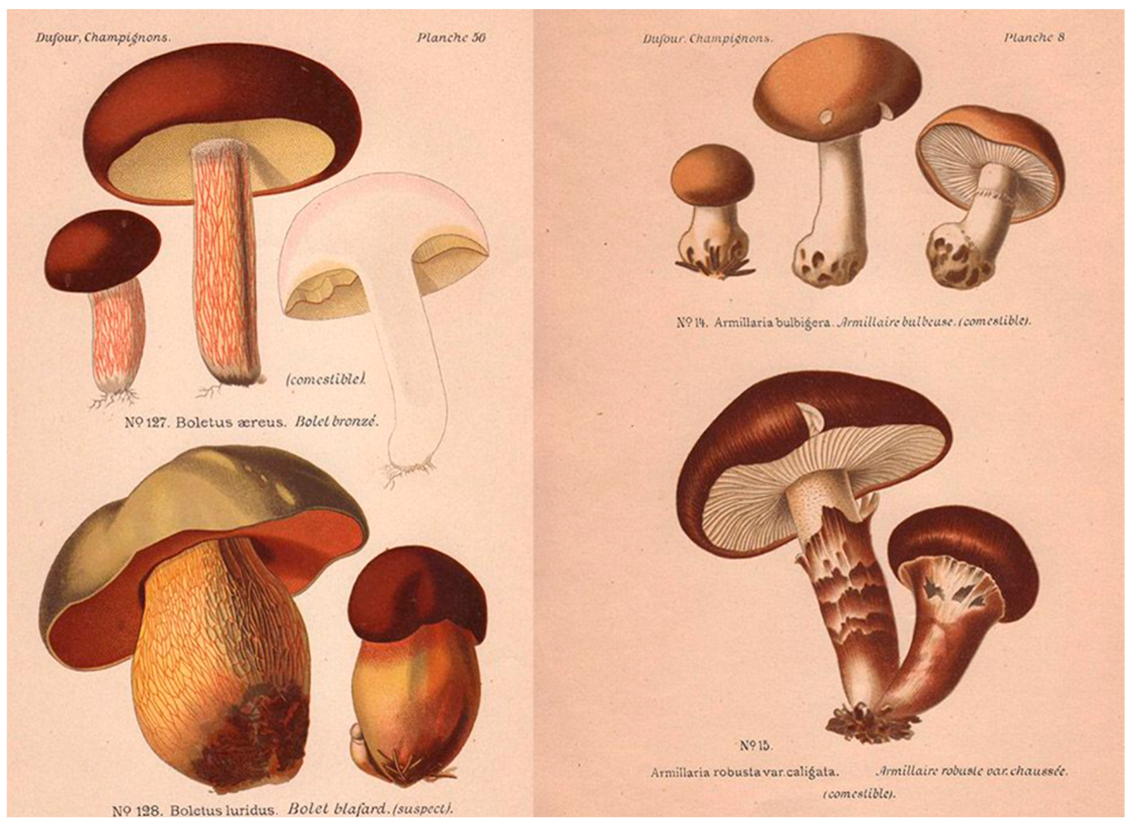 Religions 15 00777 g006