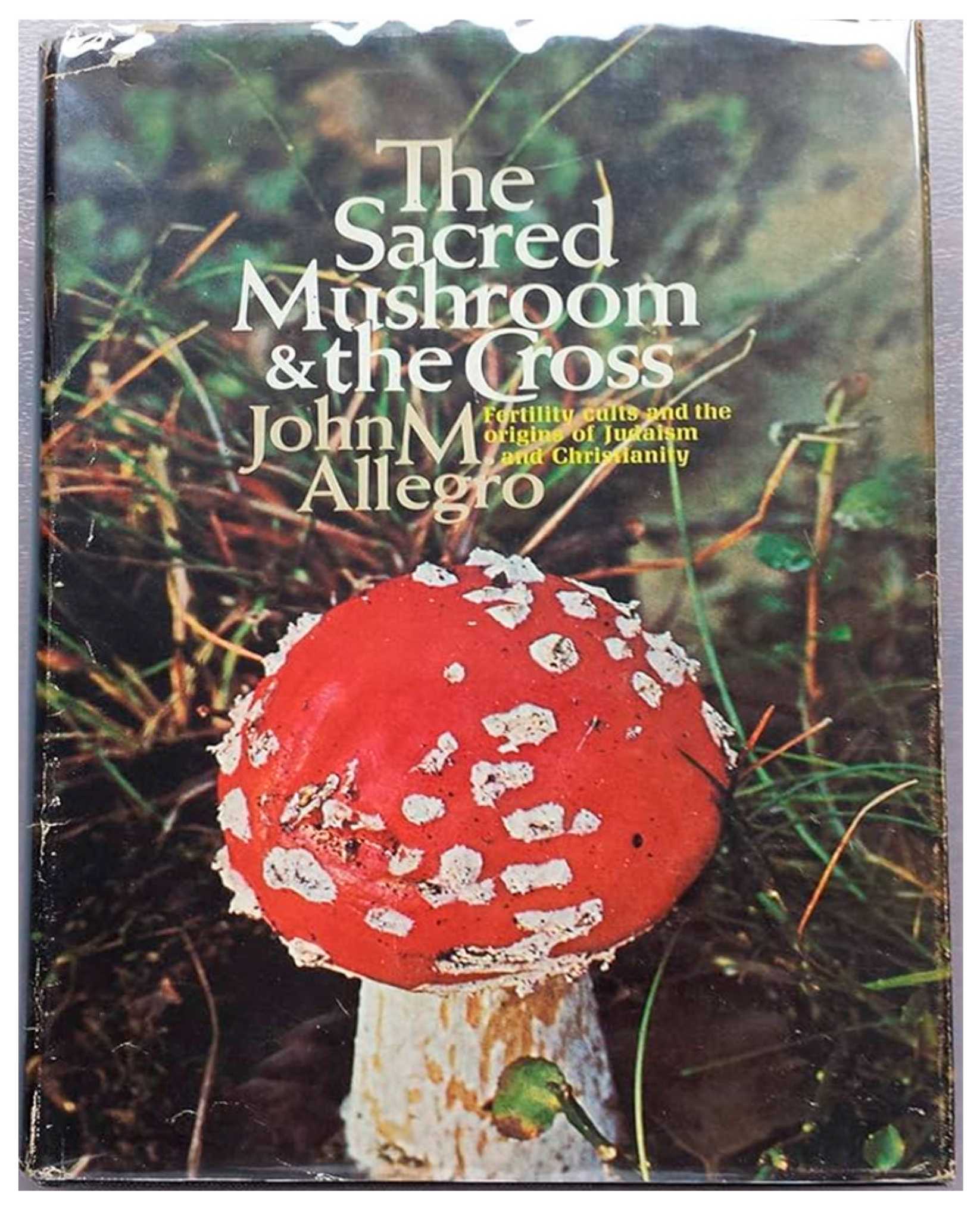 Religions 15 00777 g034