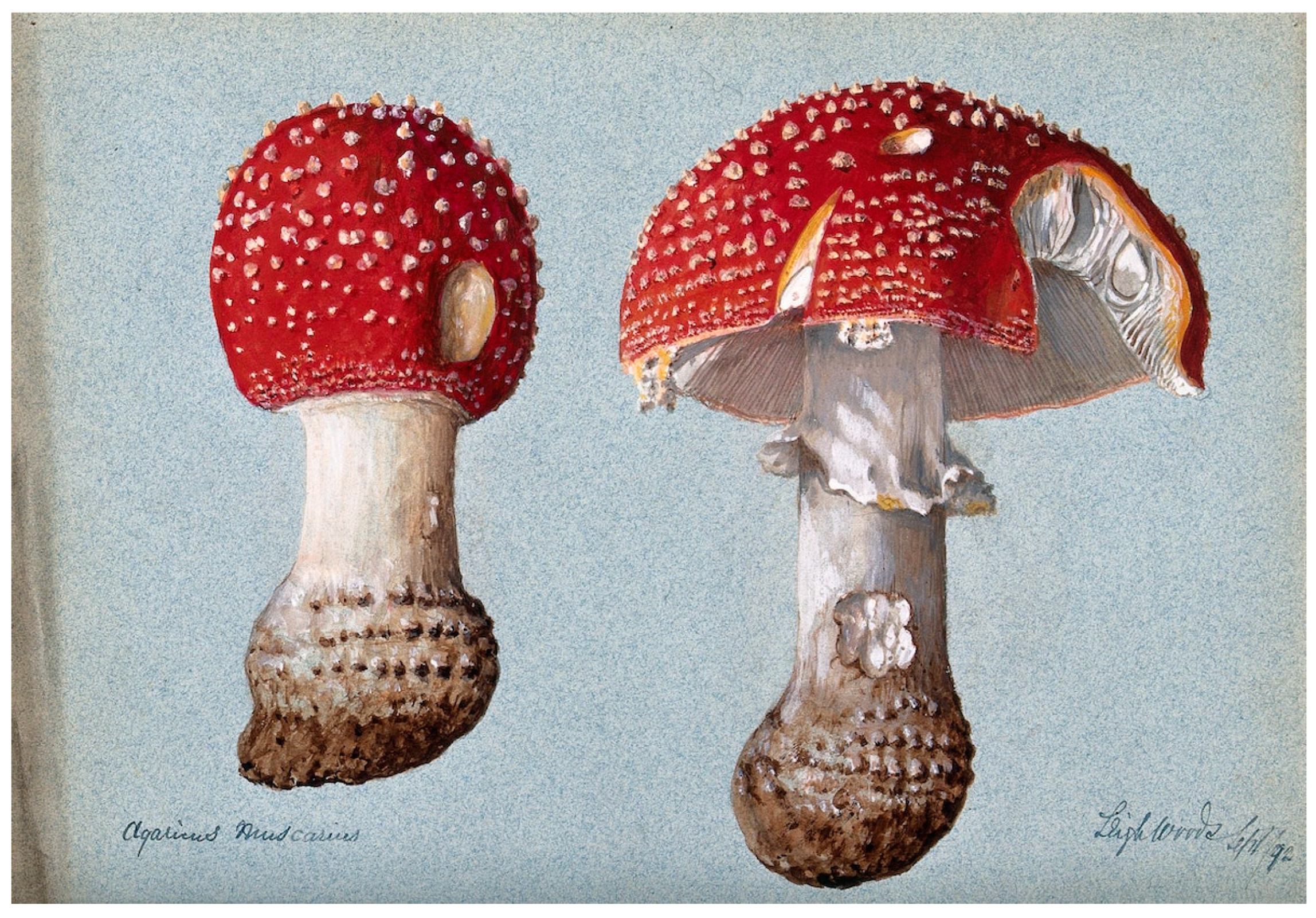 Religions 15 00777 g066