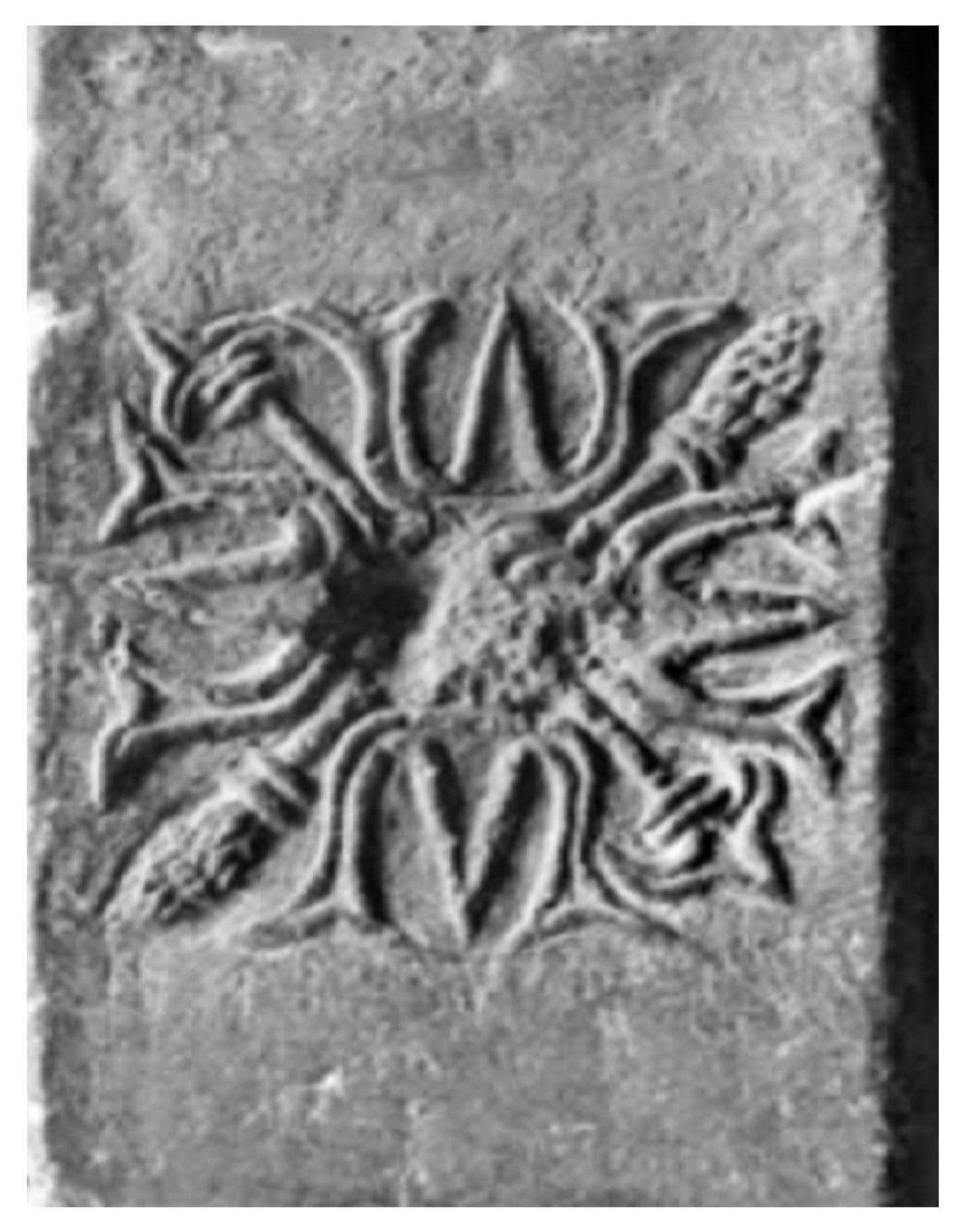 Religions 15 00803 g006