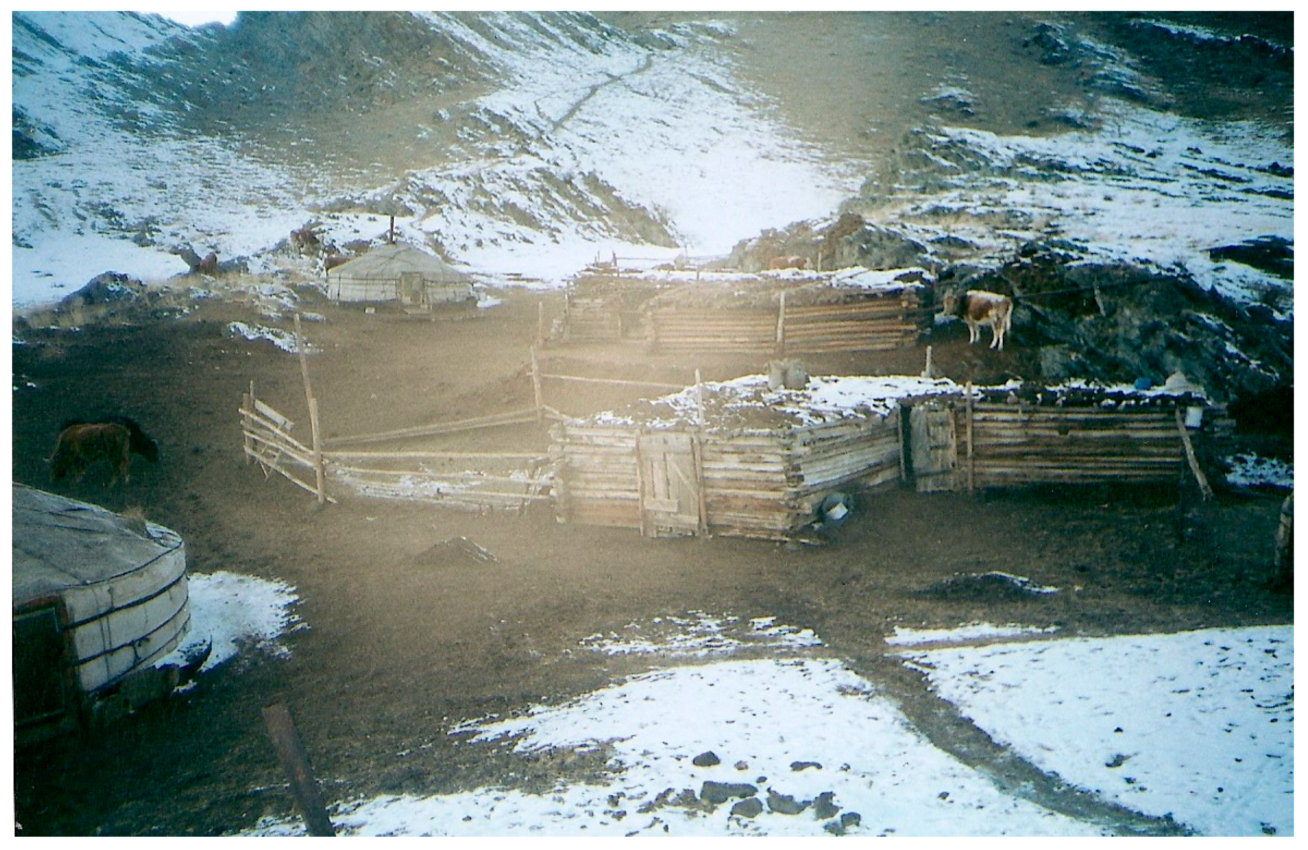 Religions 15 01150 g001