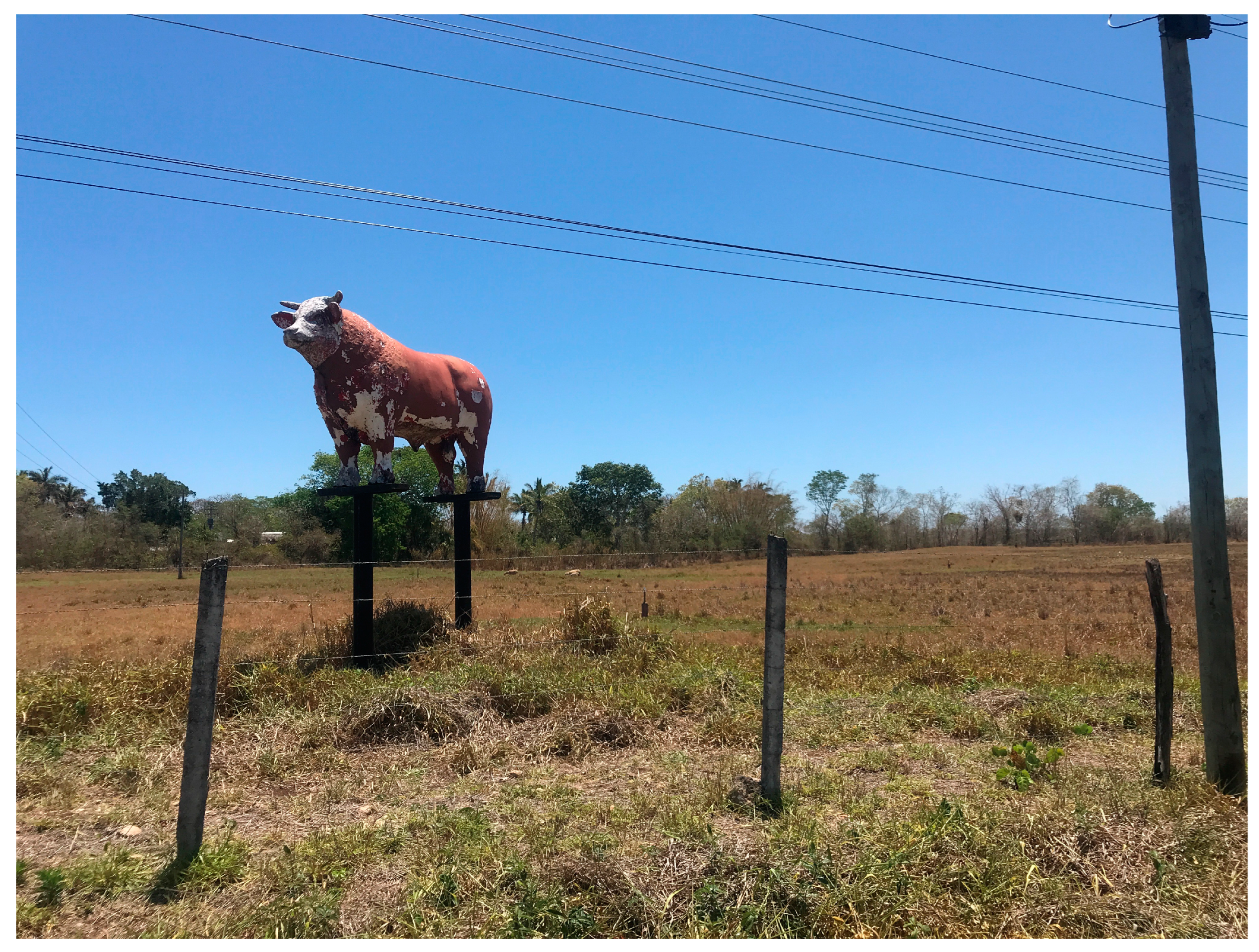 Religions 15 01291 g001