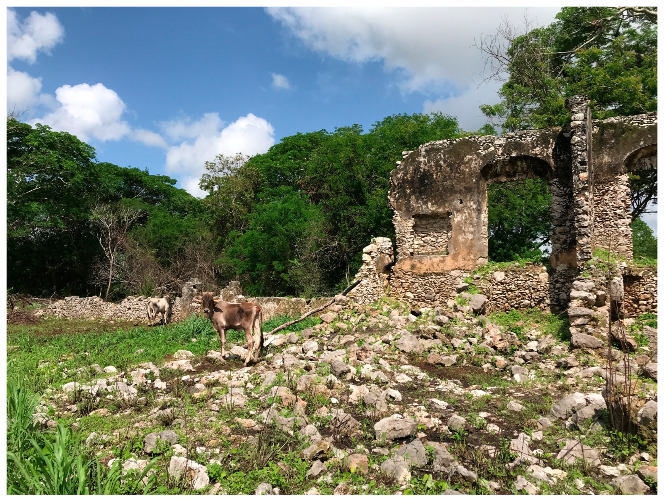 Religions 15 01291 g009