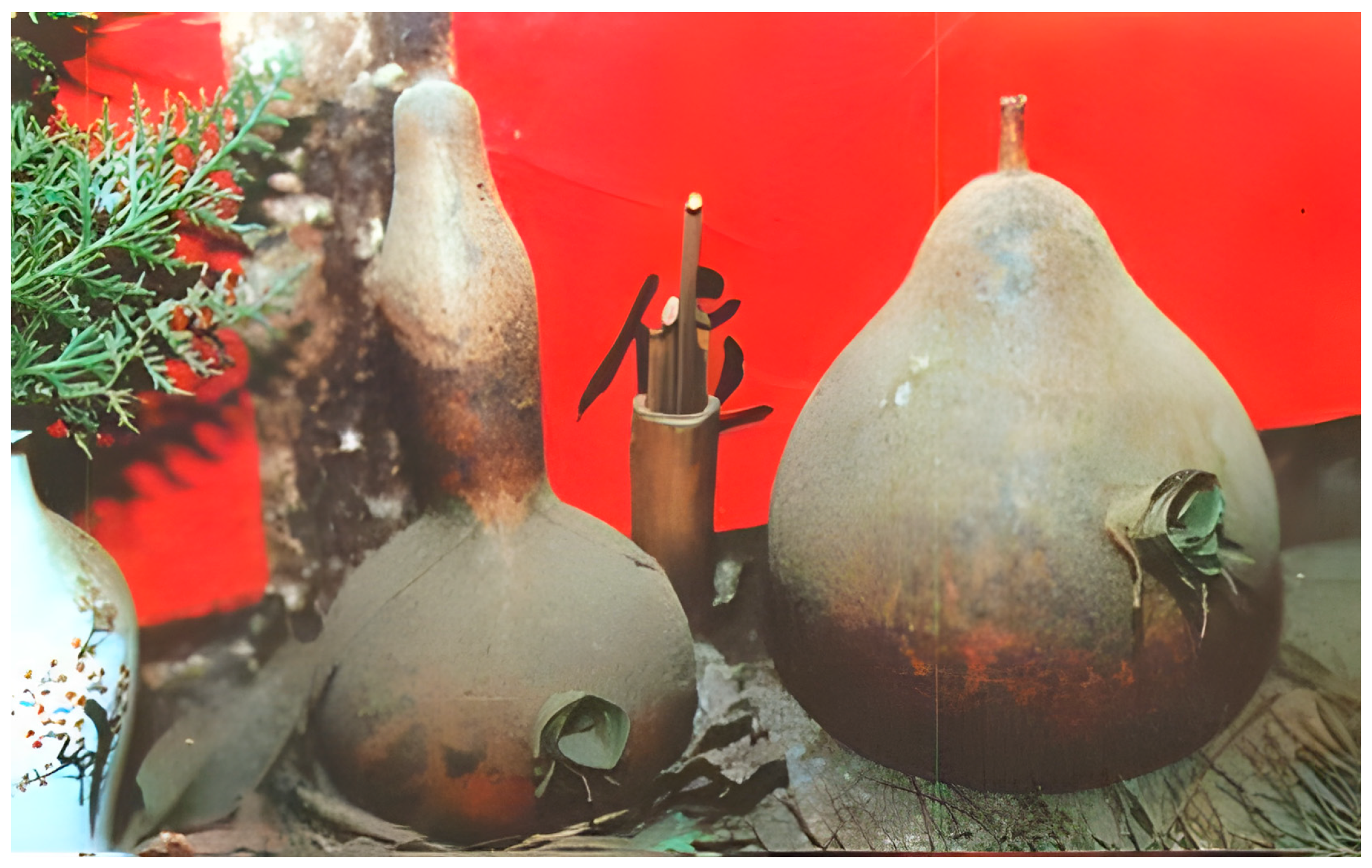 Religions 15 01488 g002