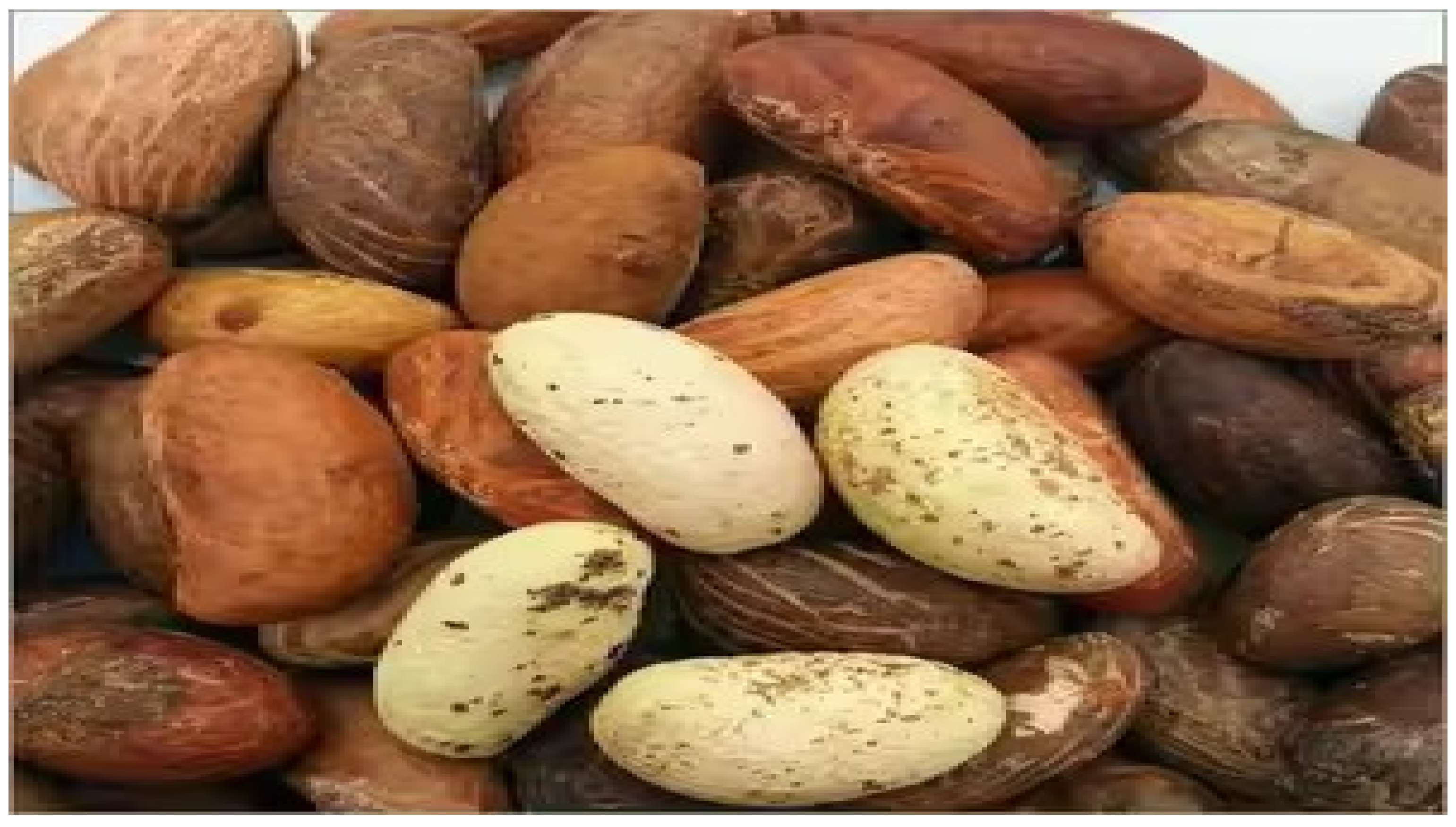 Religions 15 01508 g001