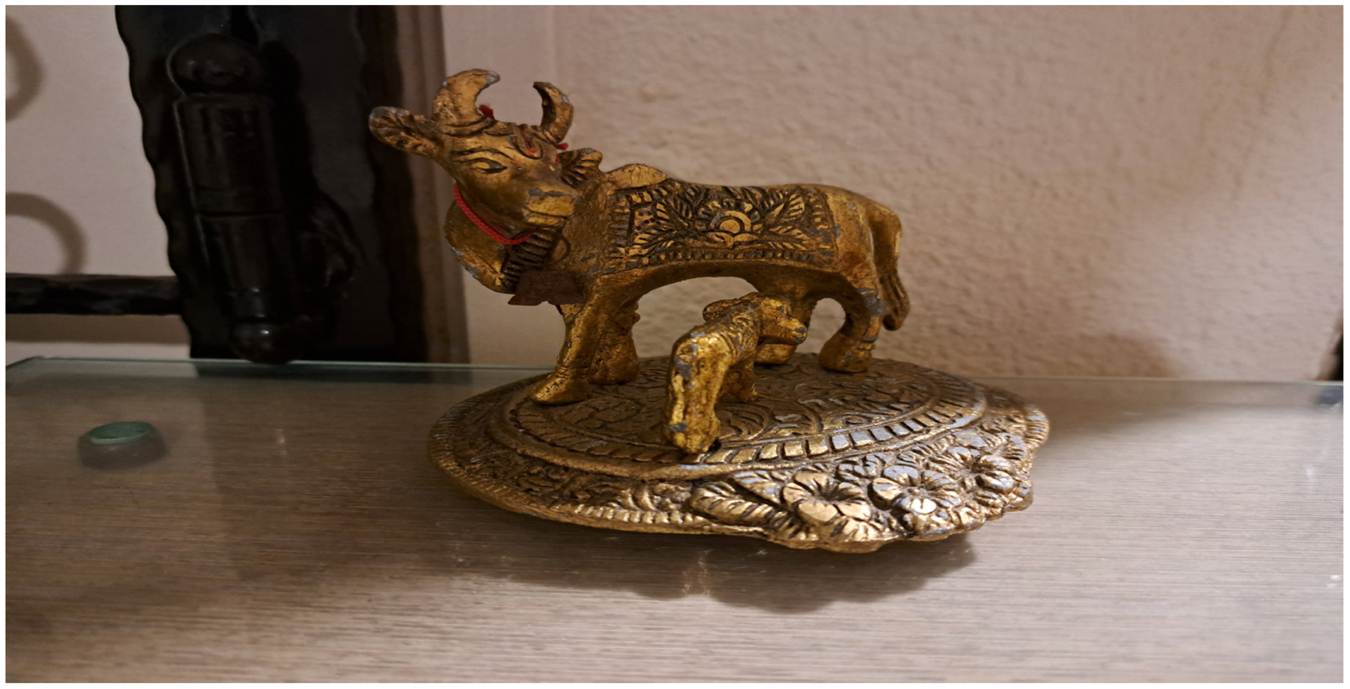 Religions 15 01522 g005