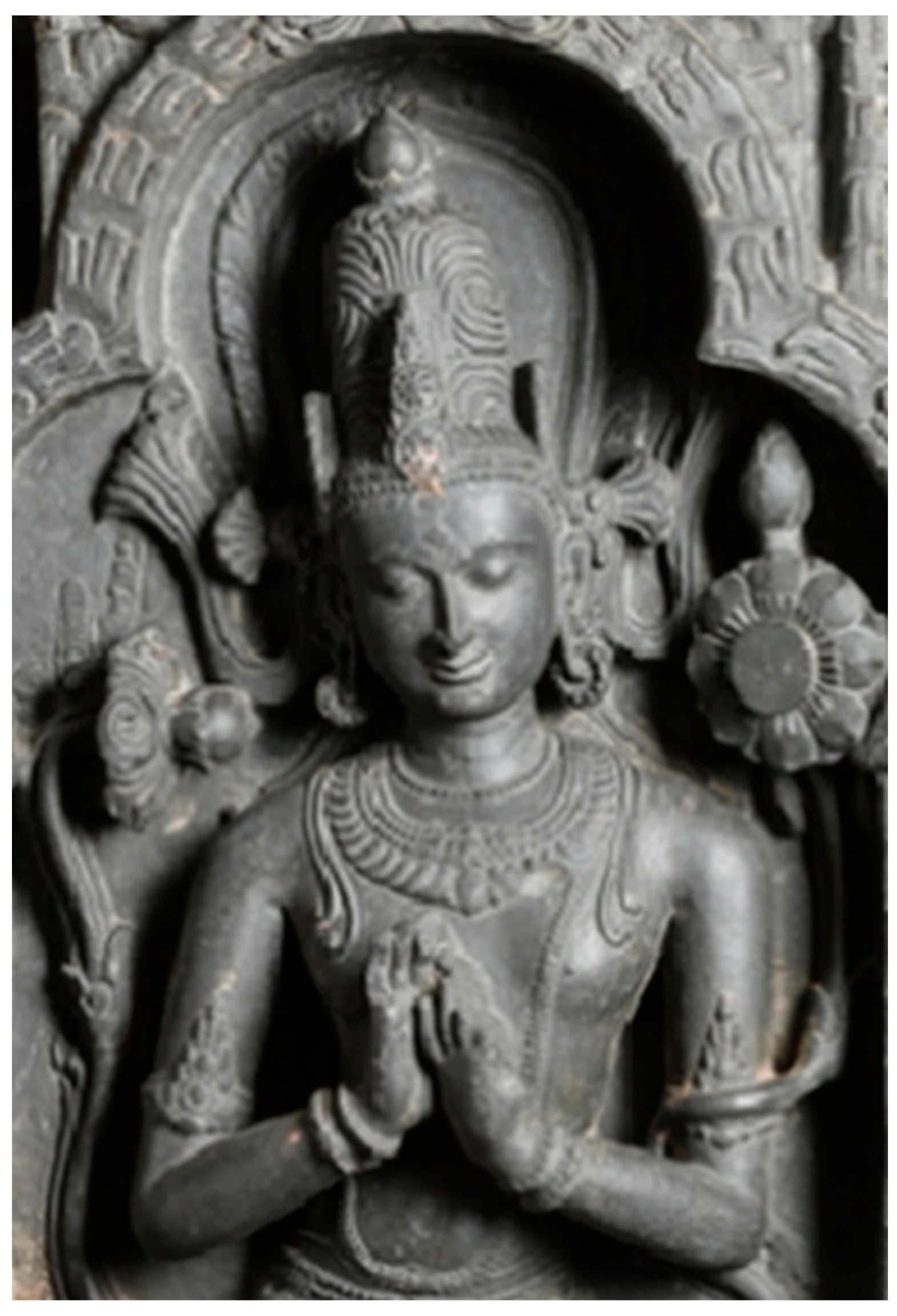 Religions 16 00084 g007