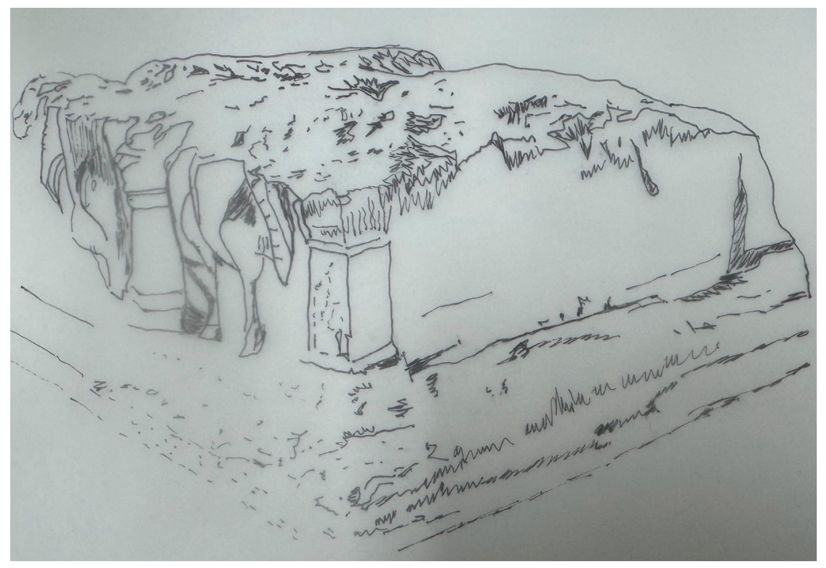 Religions 16 00217 g013