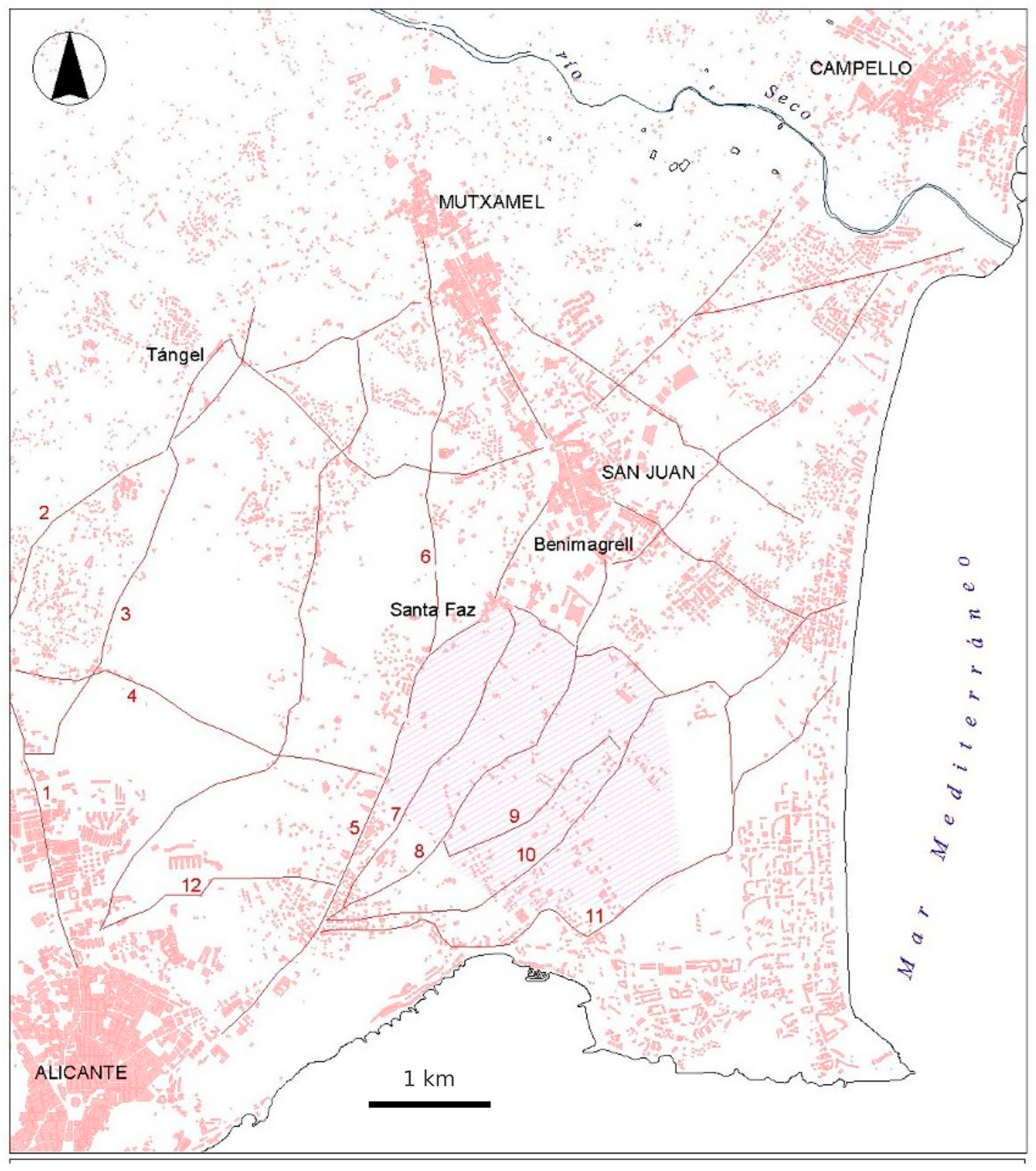 Religions 16 00224 g003