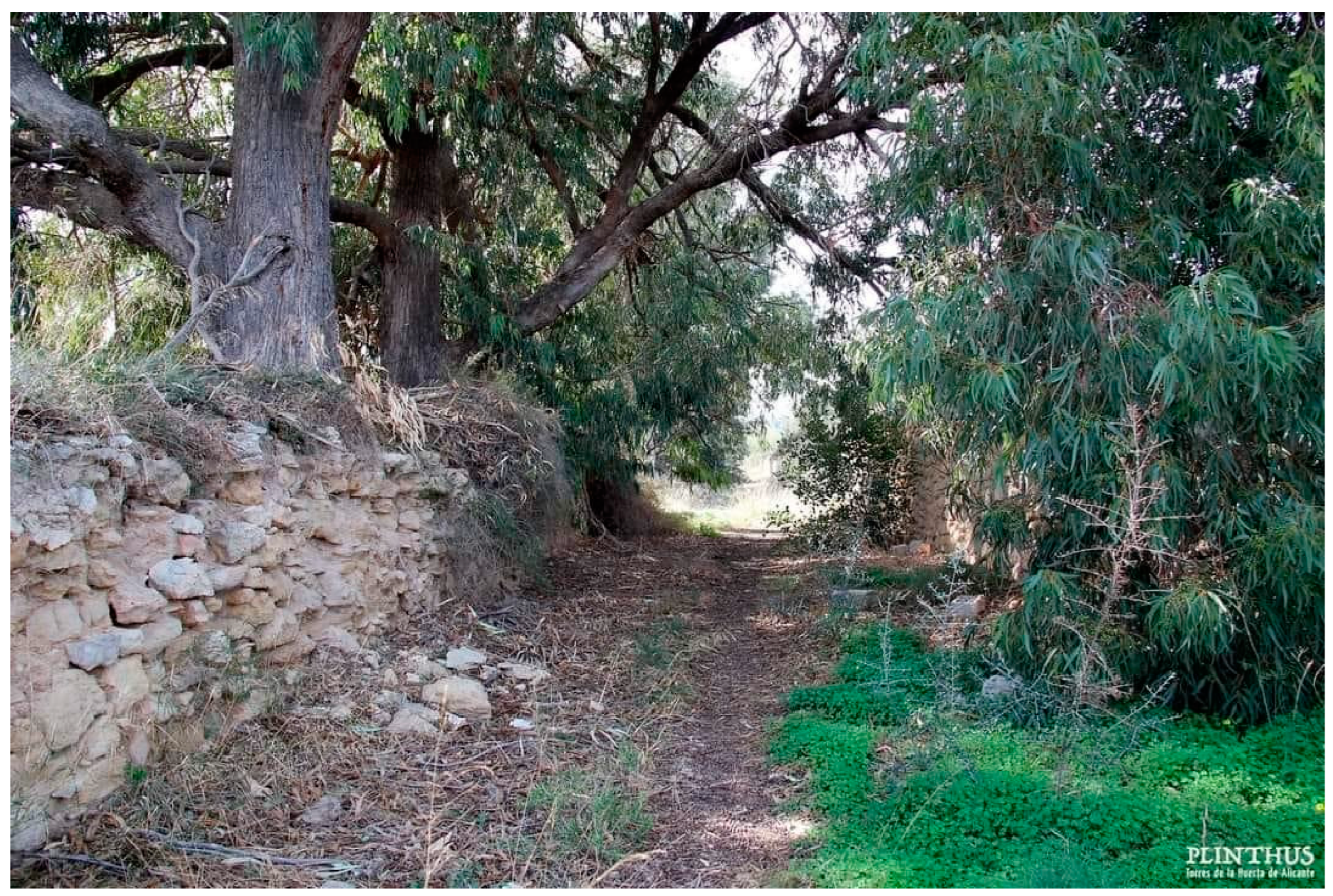 Religions 16 00224 g008