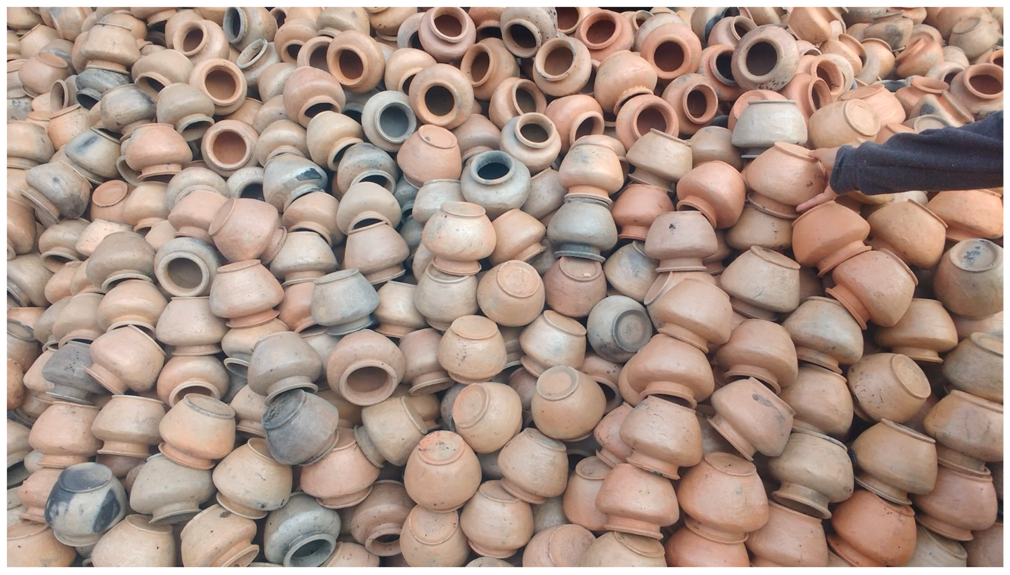 Religions 16 00240 g008