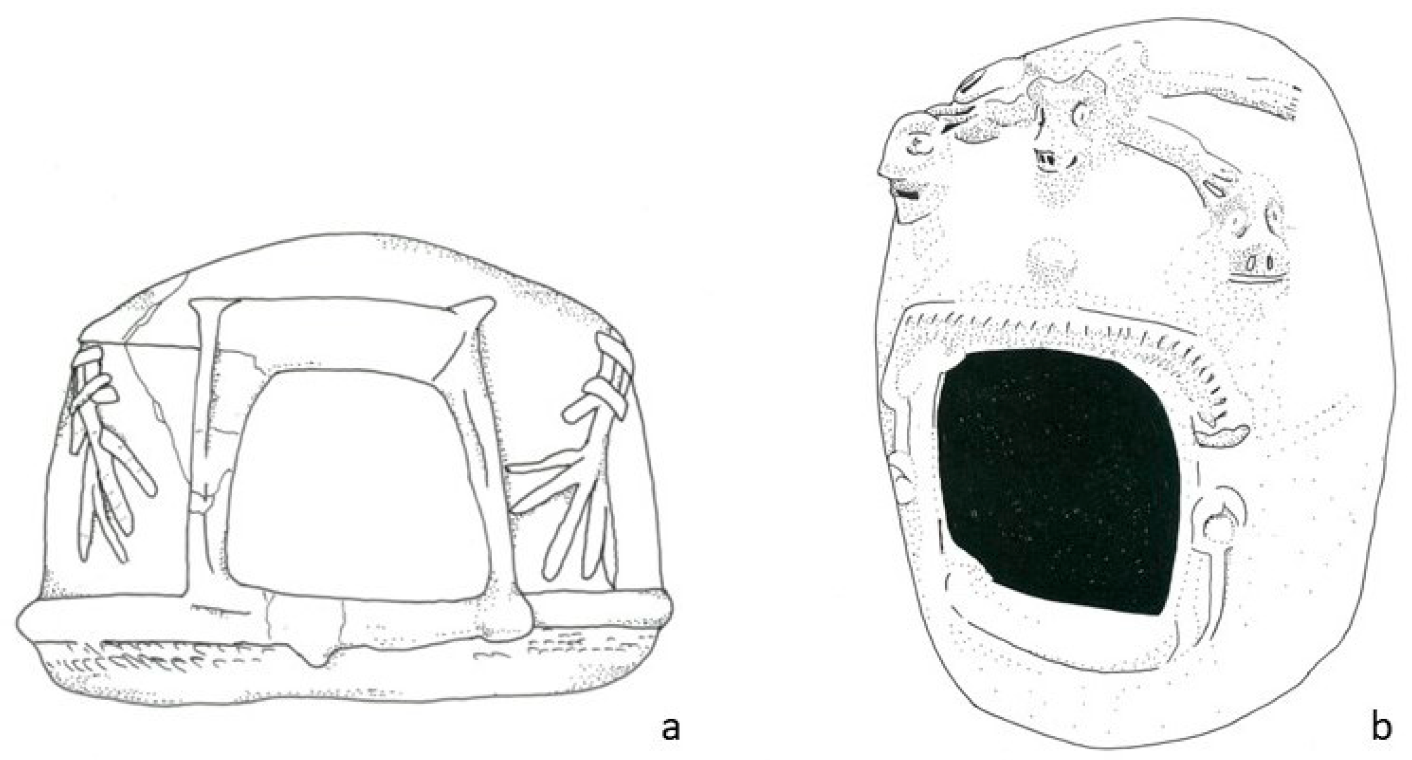 Religions 16 00259 g007