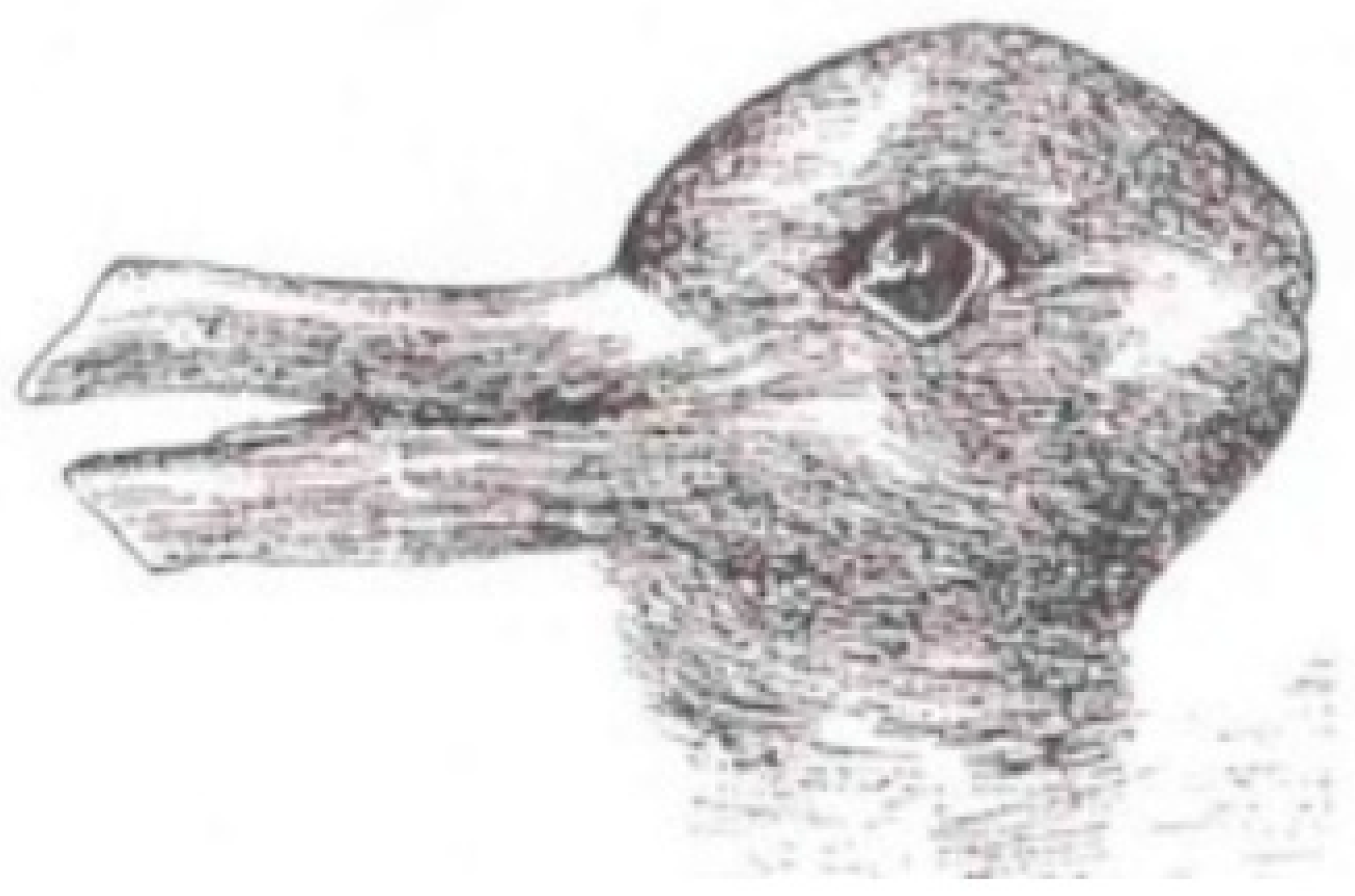 Religions 16 00284 g001