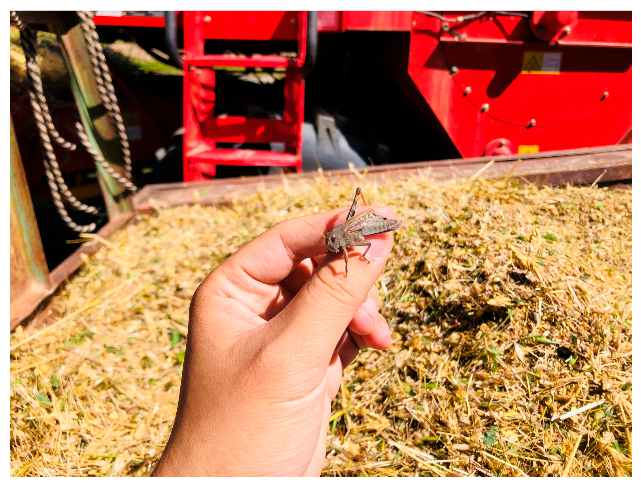 Religions 16 00373 g002