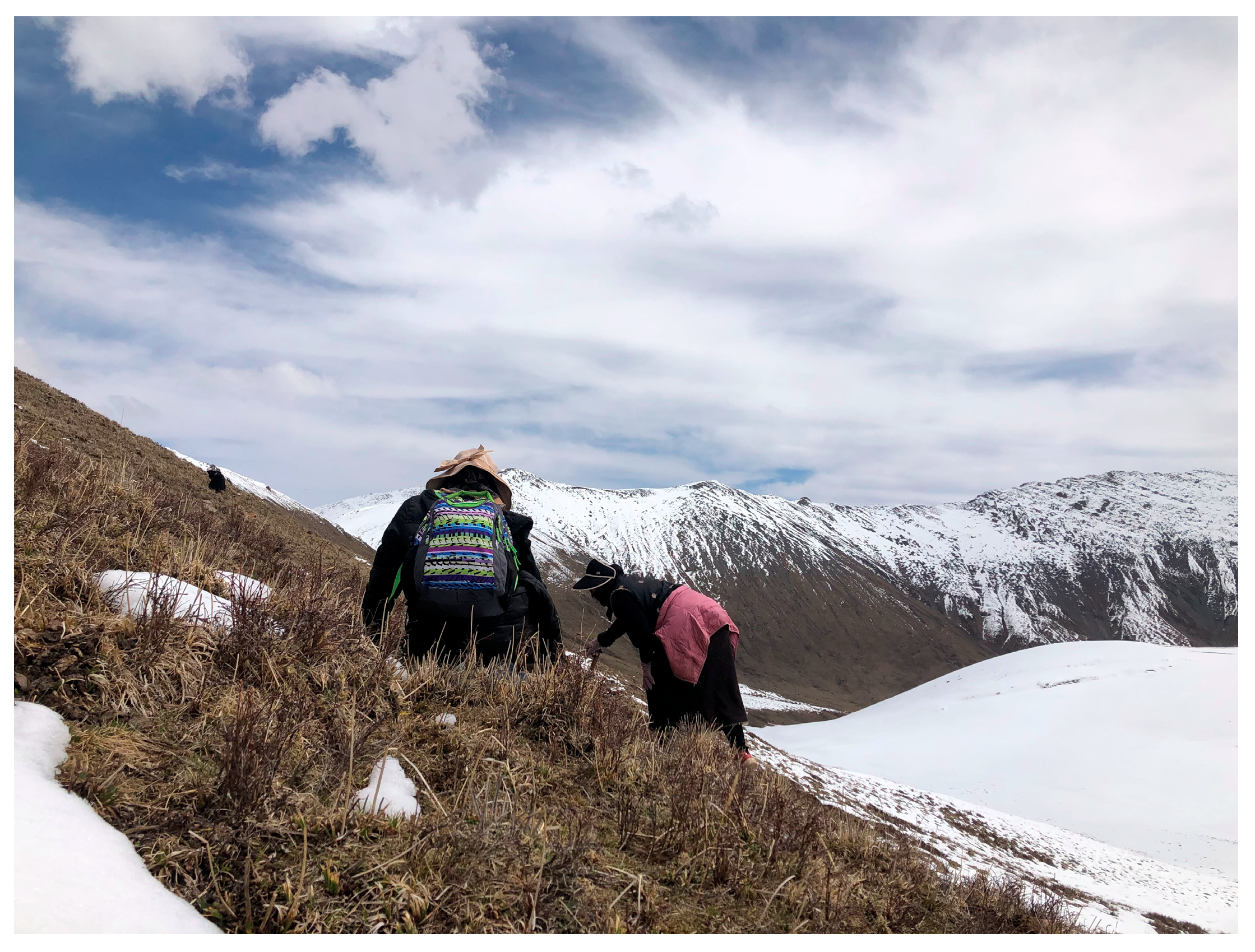 Religions 16 00373 g003