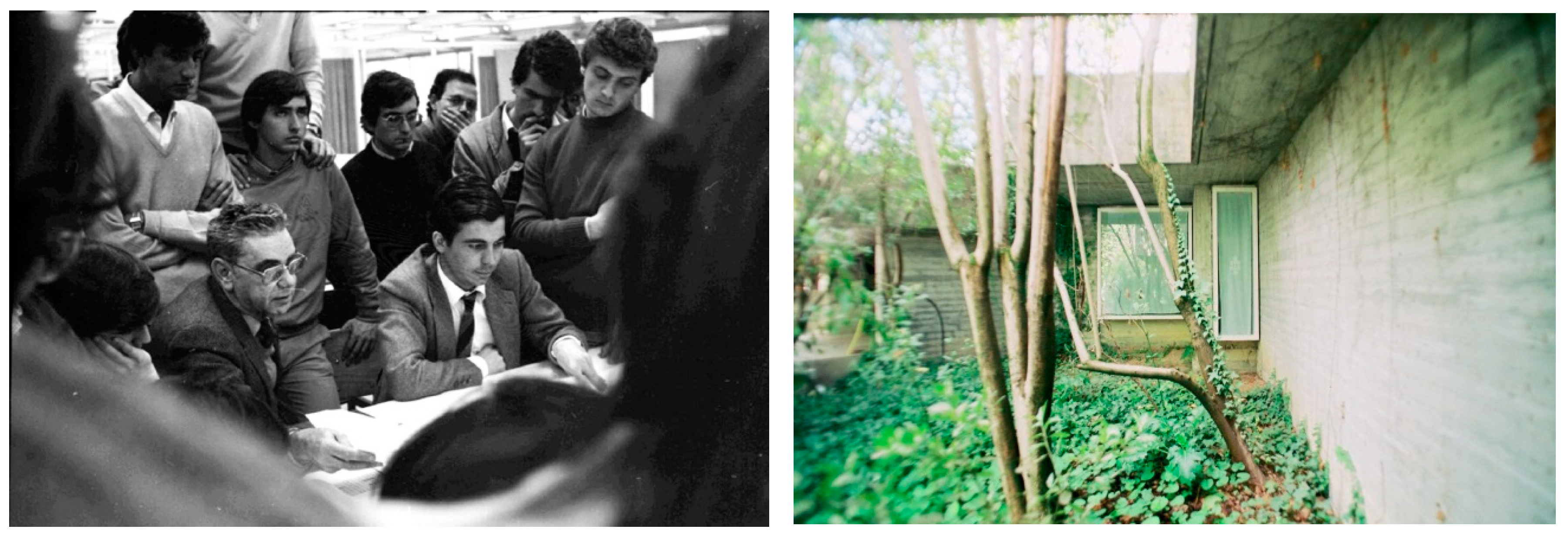 Religions 16 00420 g016