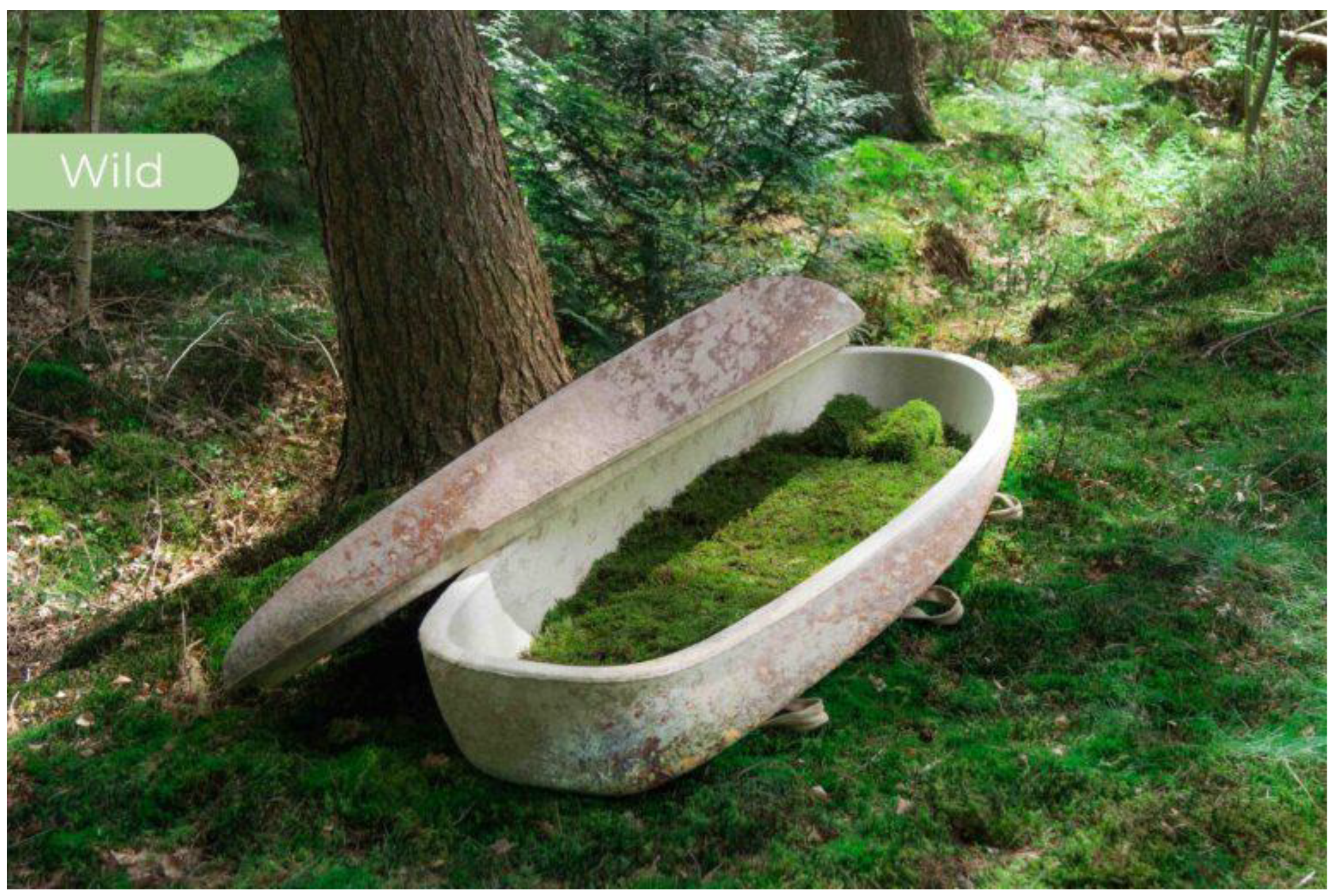 Religions 16 00447 g004