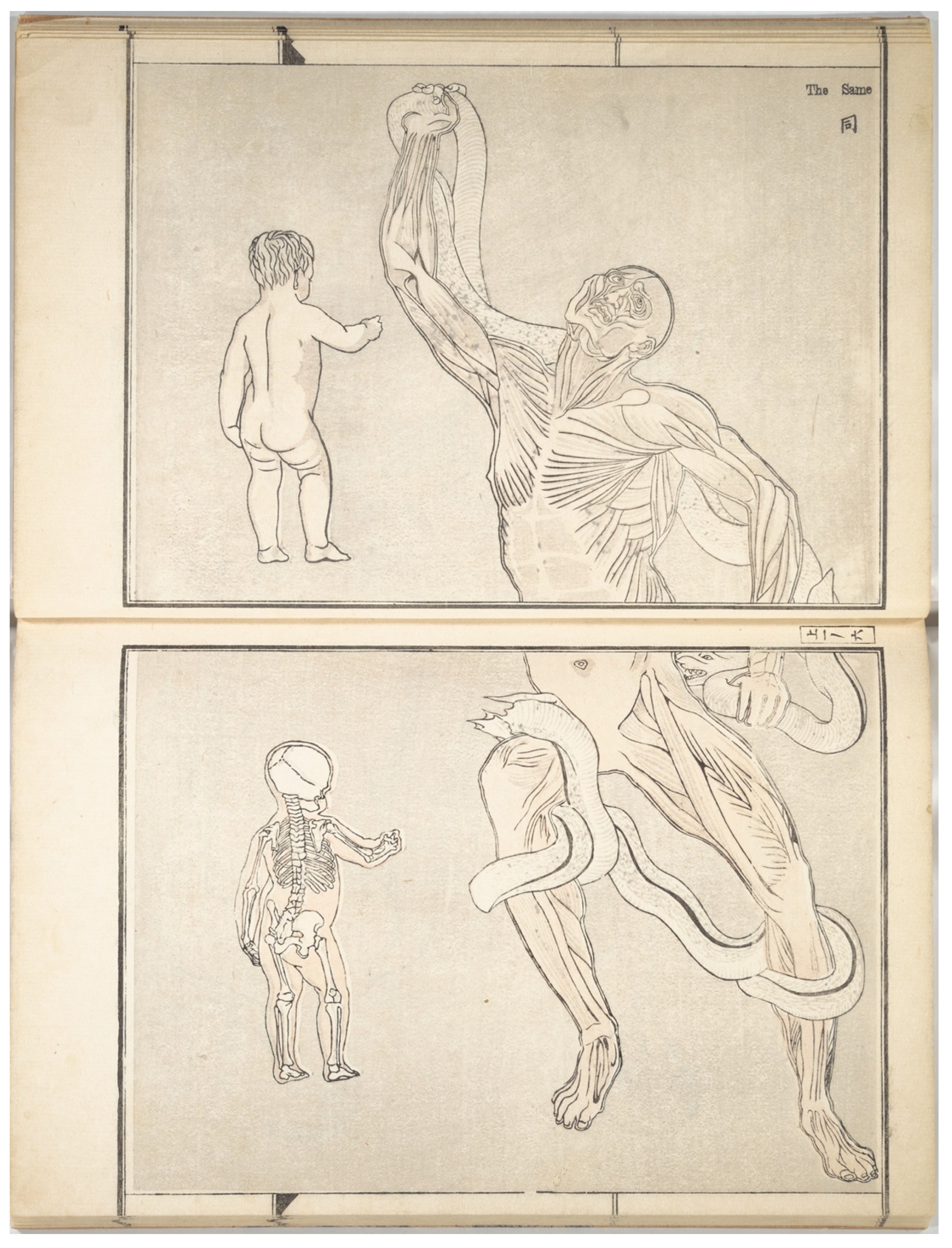 Religions 16 00516 g009