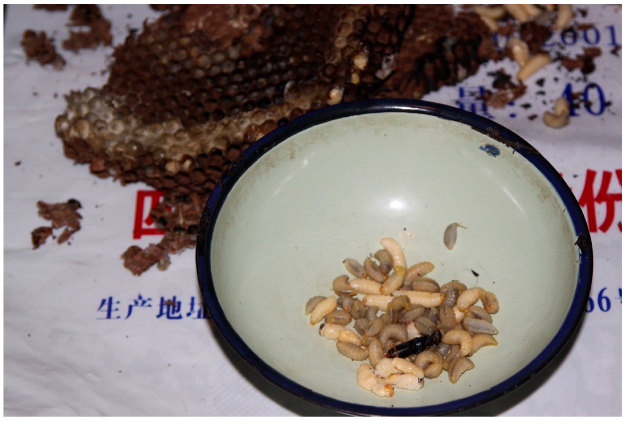 Religions 16 00539 g003