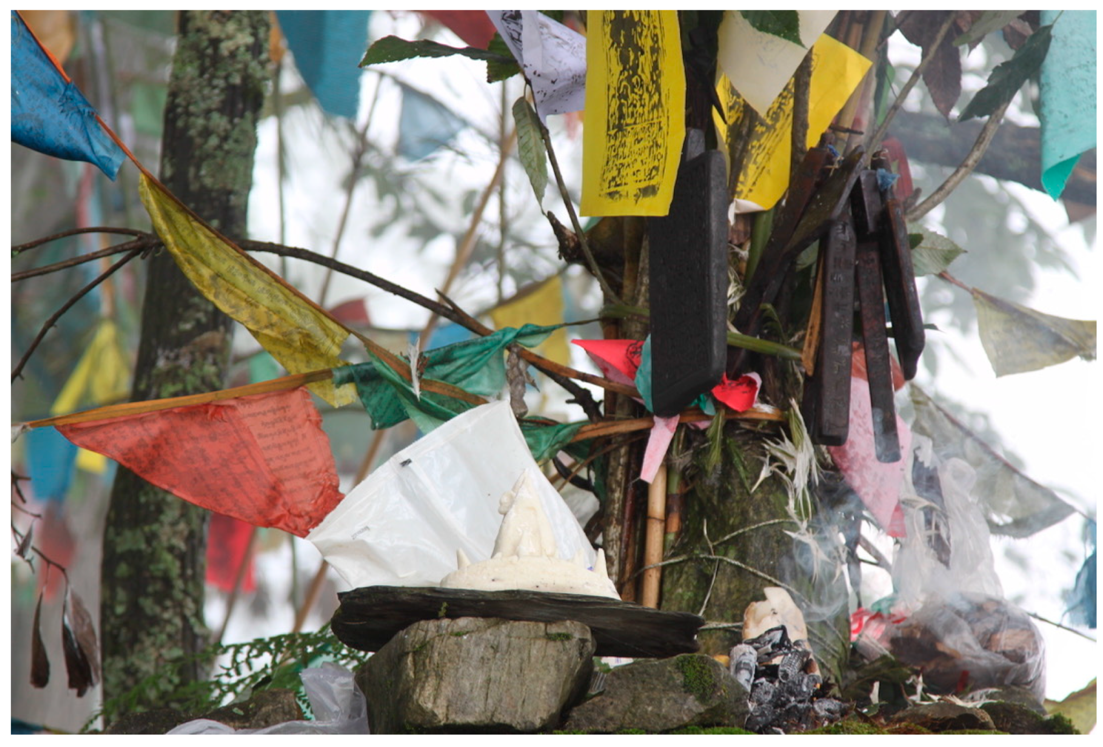 Religions 16 00539 g005