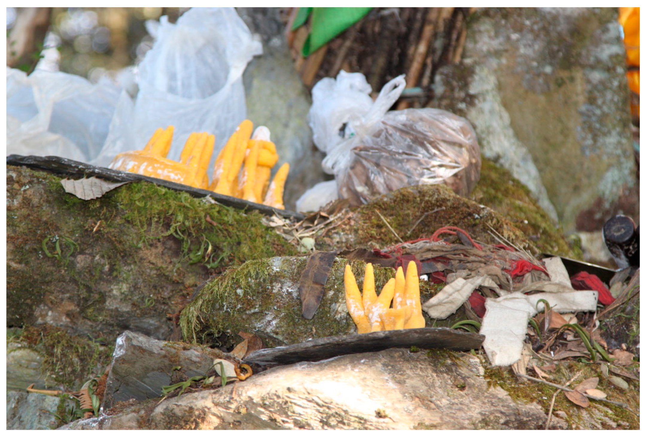 Religions 16 00539 g006