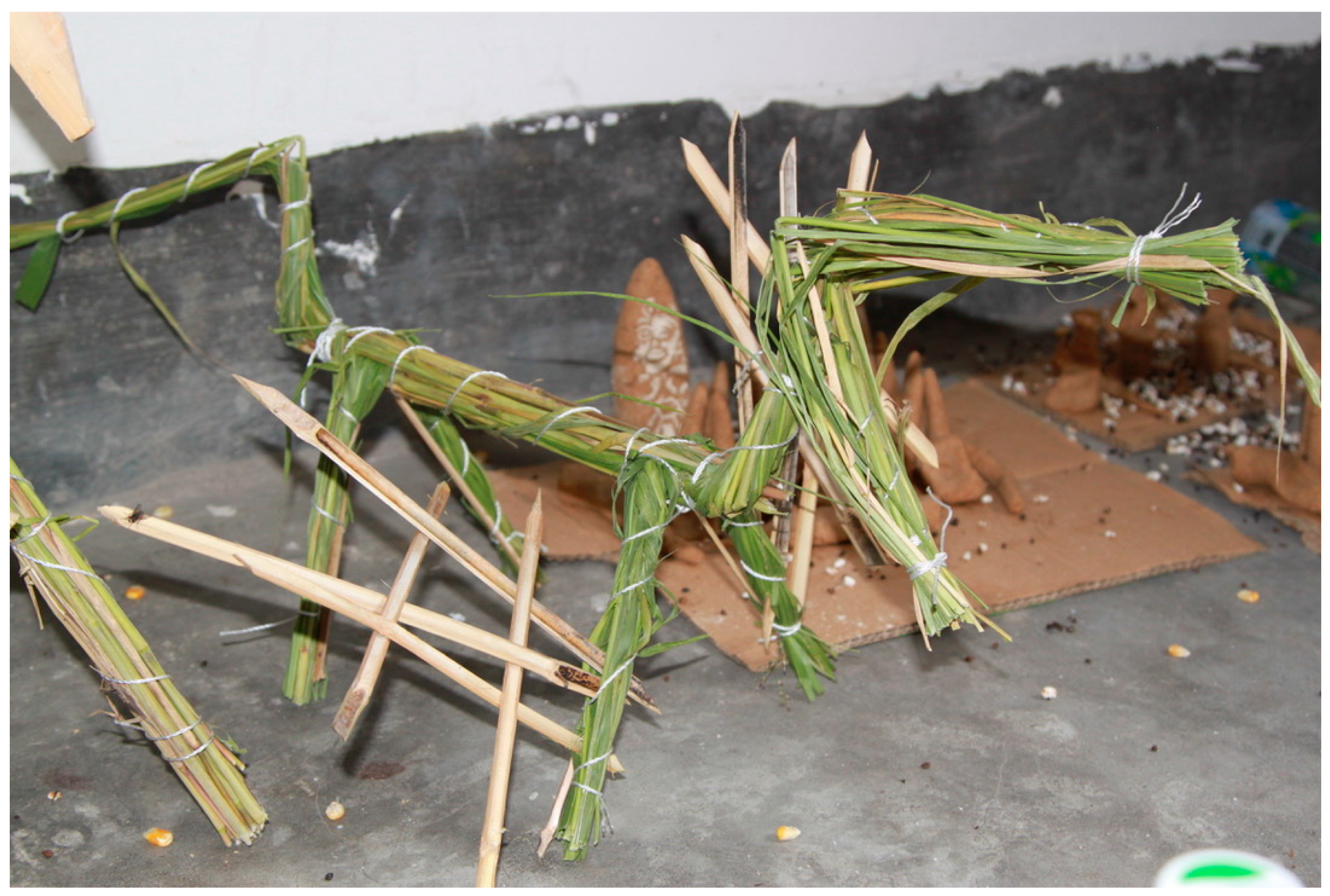 Religions 16 00539 g012