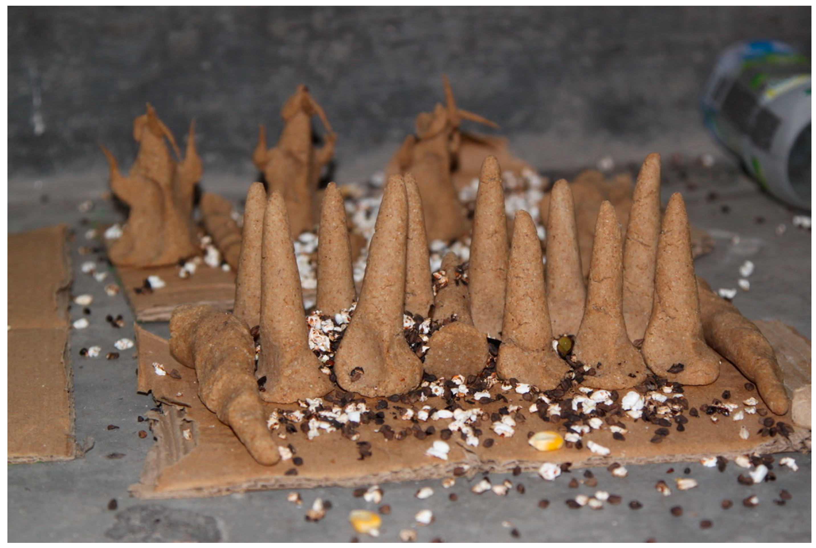 Religions 16 00539 g014