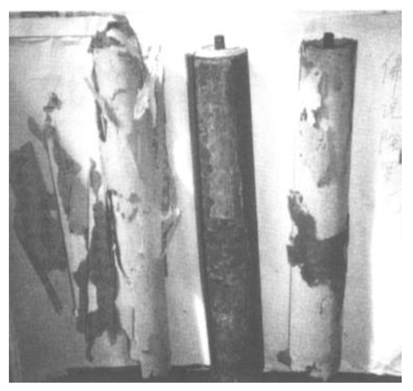 Religions 16 00650 g008