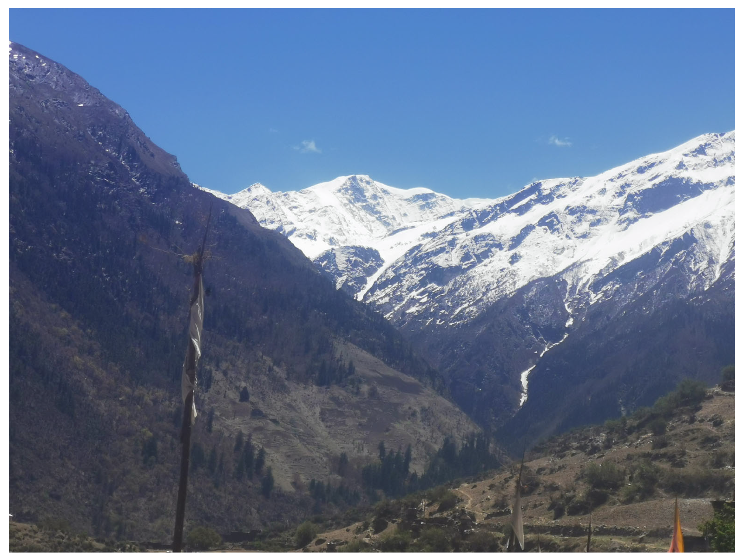 Religions 16 00660 g002