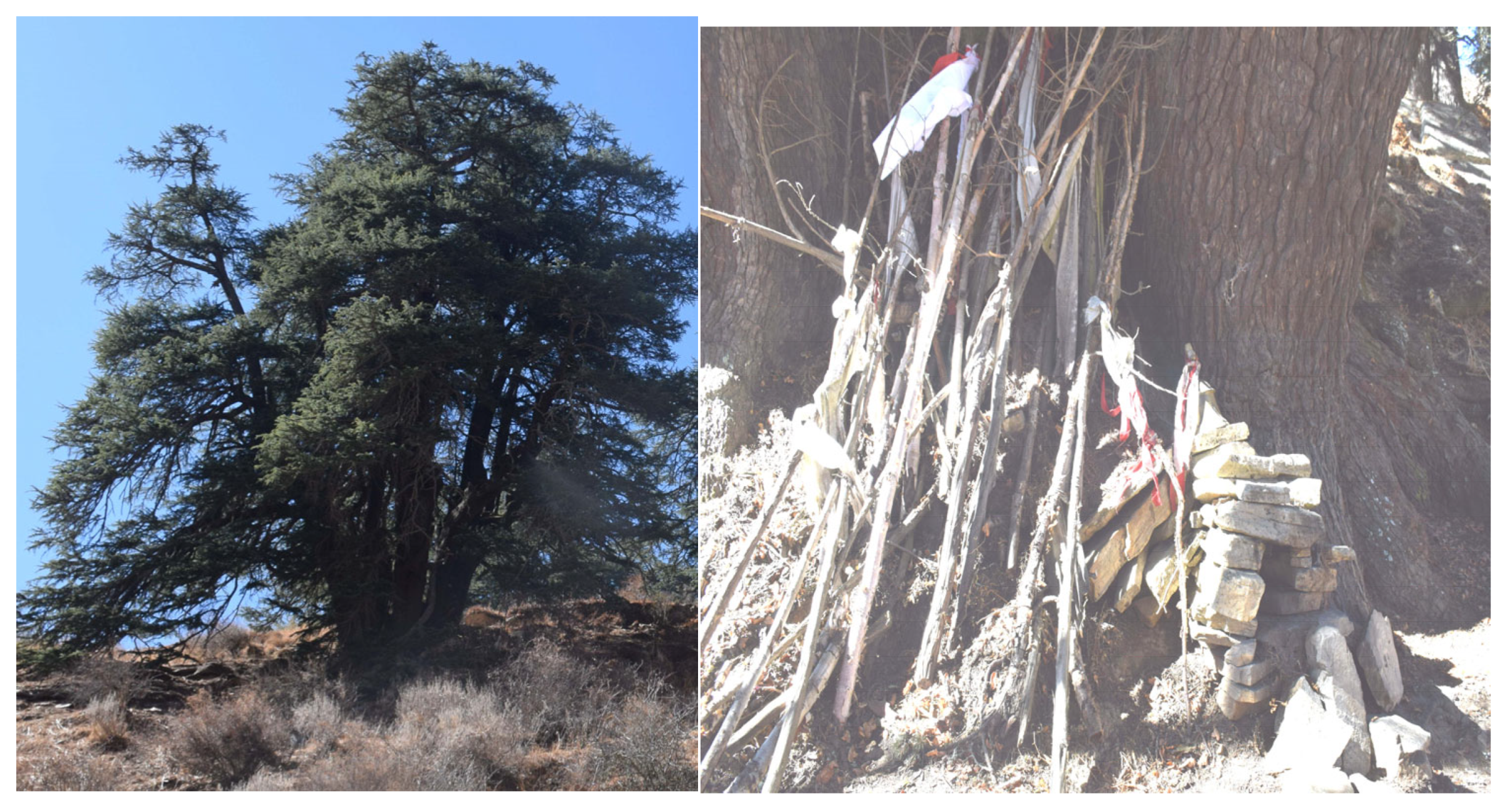 Religions 16 00660 g003