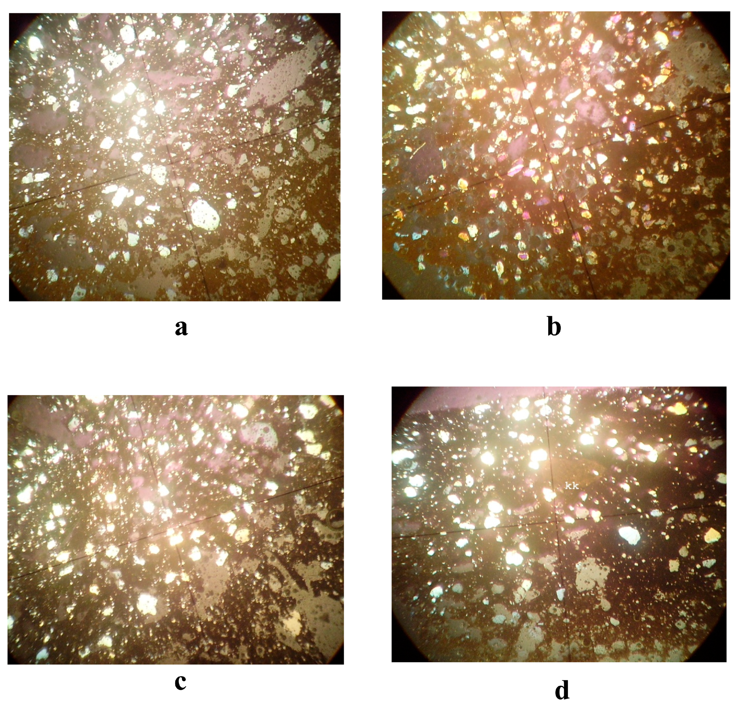 Religions 16 00661 g002