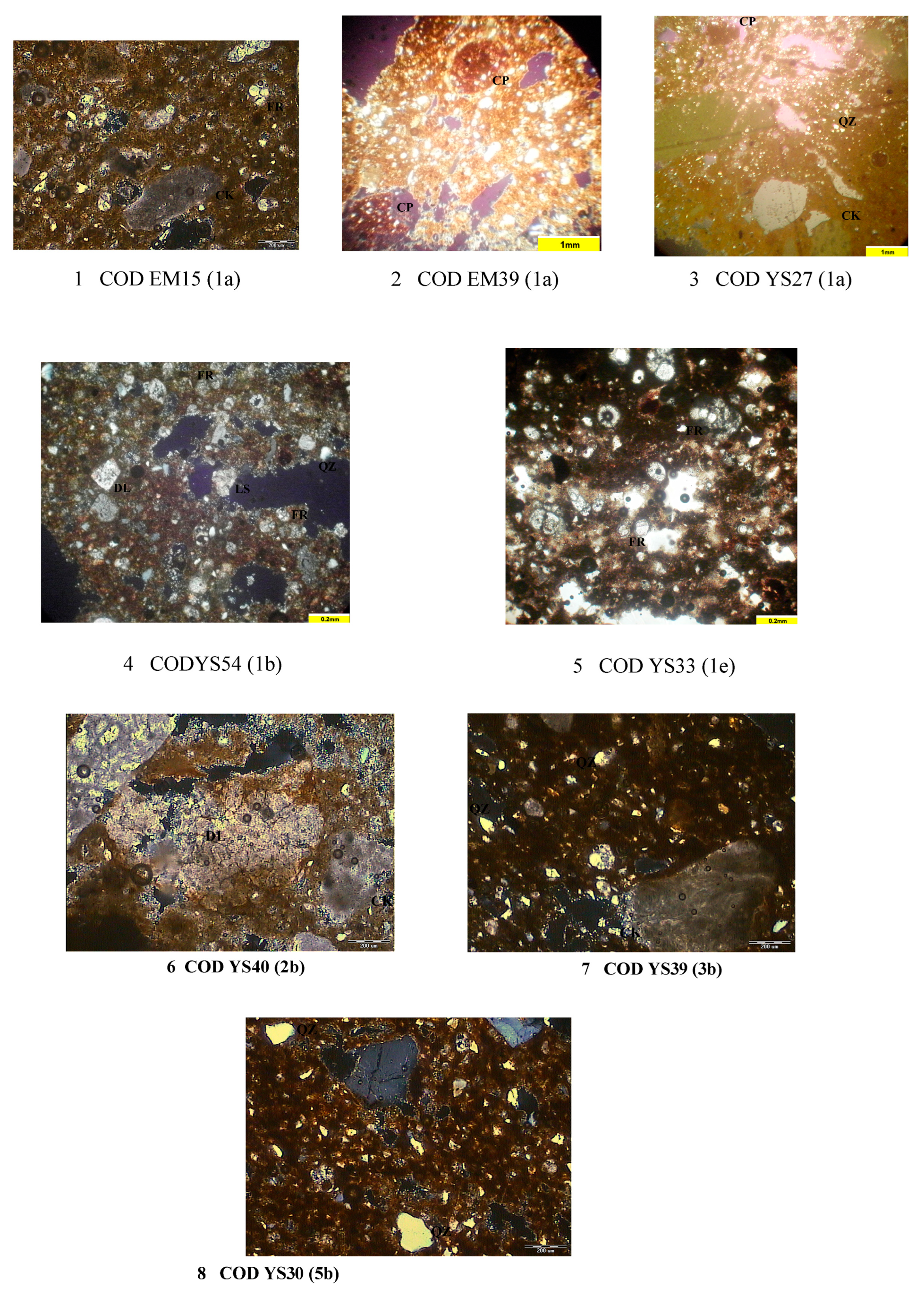 Religions 16 00661 g005