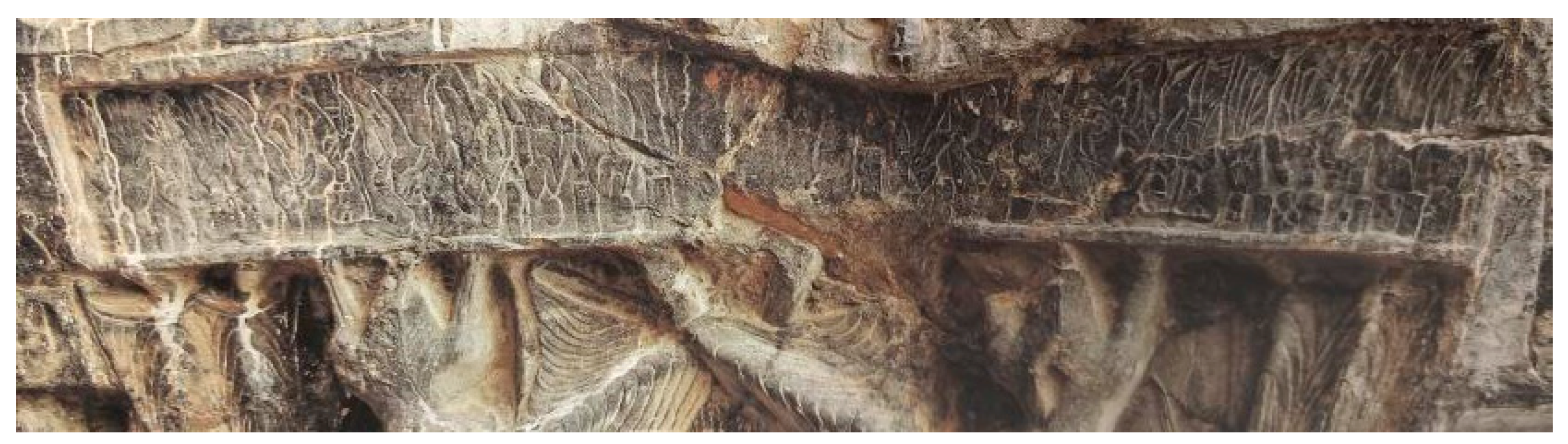 Religions 16 00779 g014