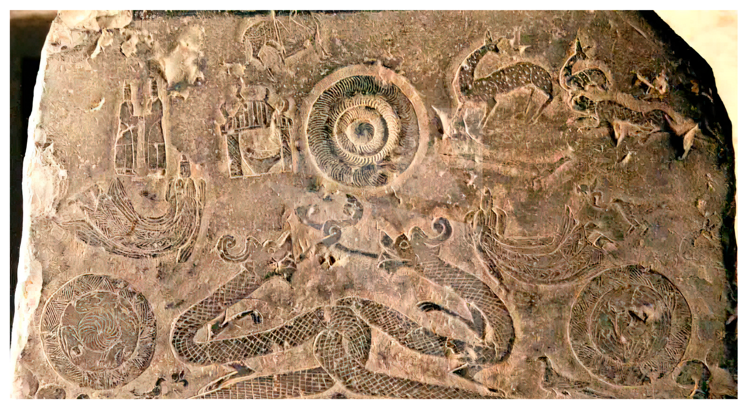 Religions 16 00780 g006