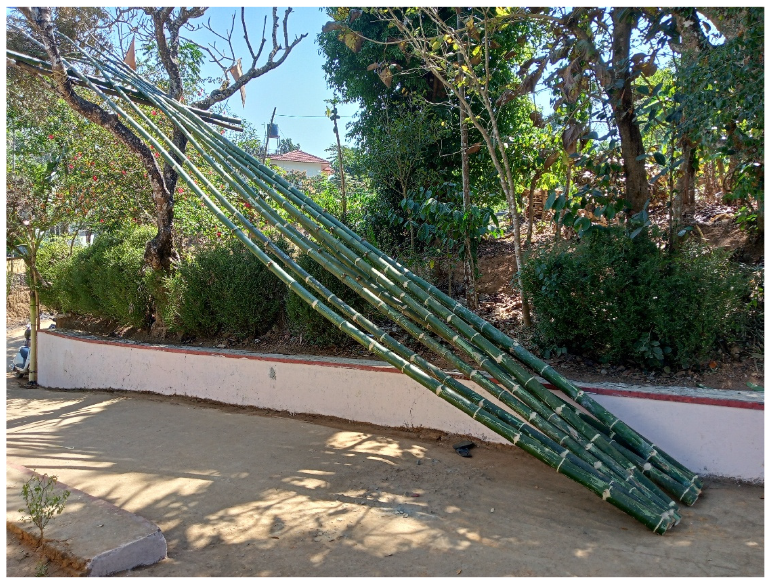 Religions 16 00848 g001