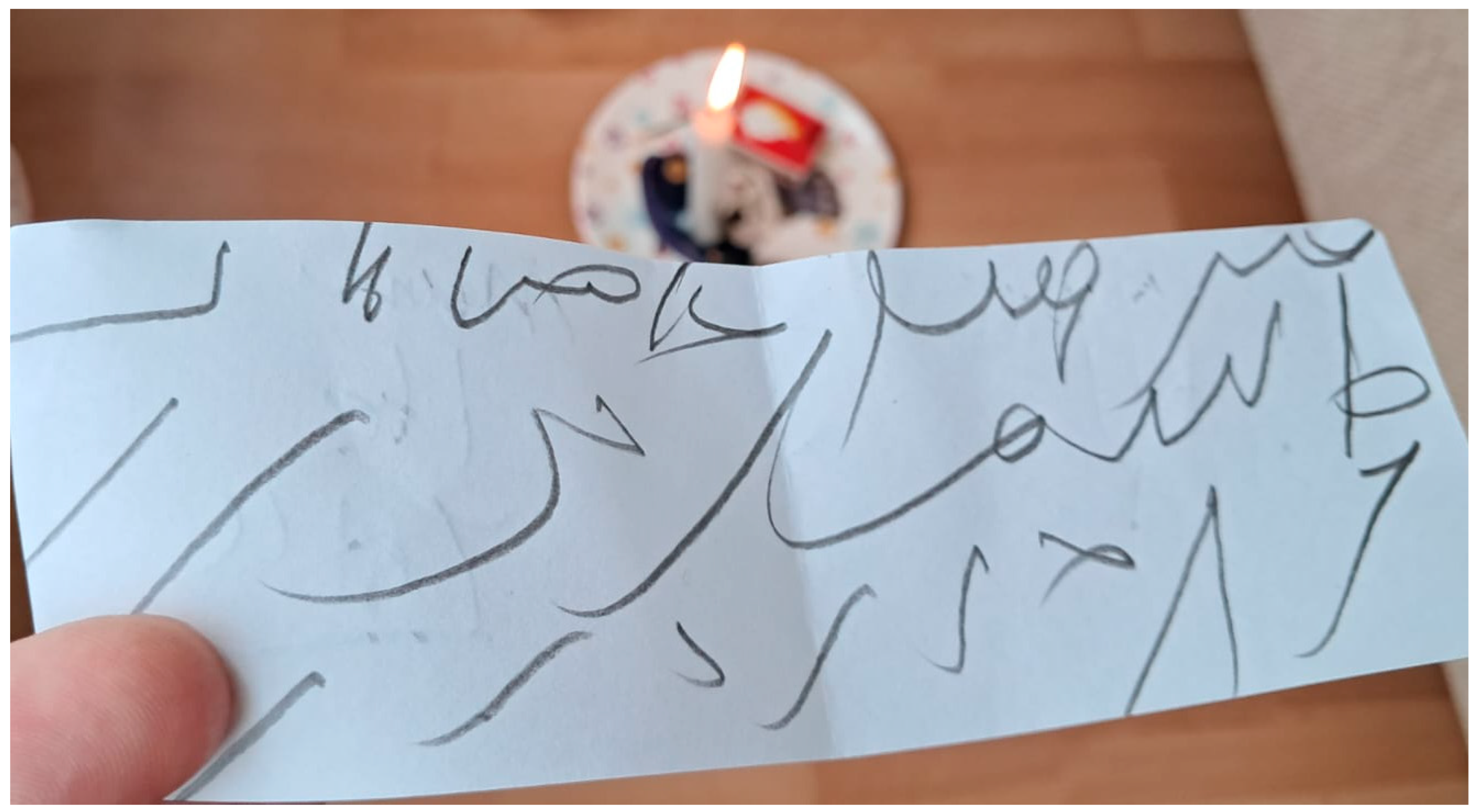 Religions 16 00883 g006