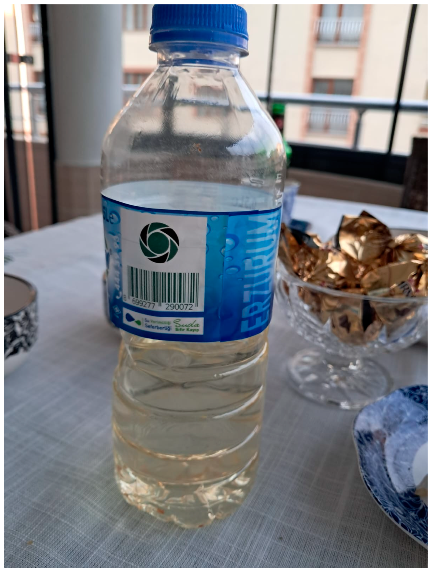 Religions 16 00883 g009