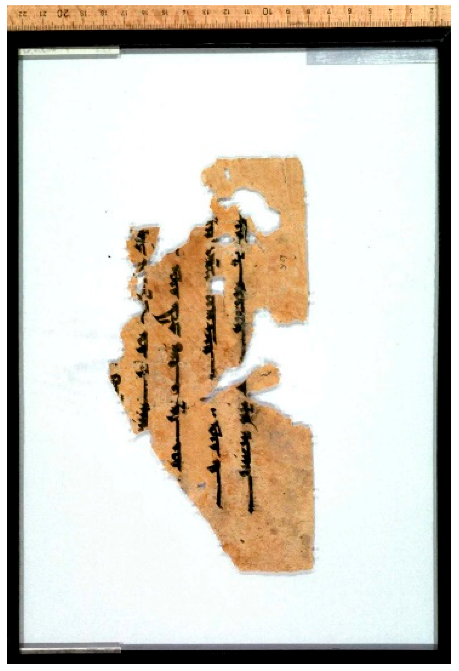 Religions 16 00899 g002