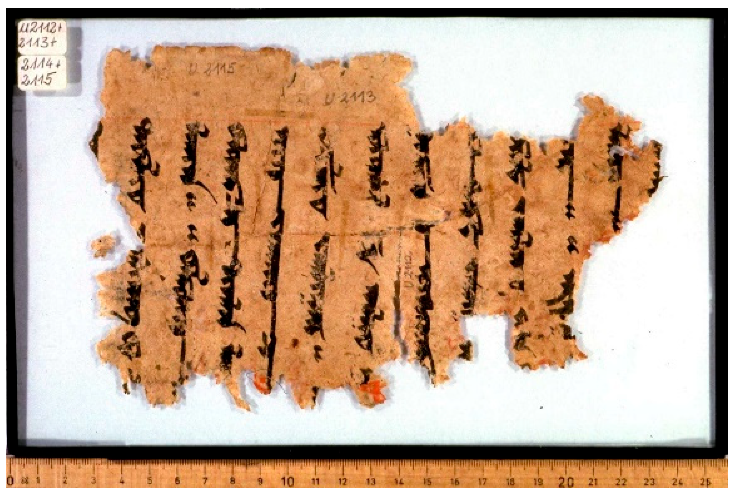 Religions 16 00899 g003