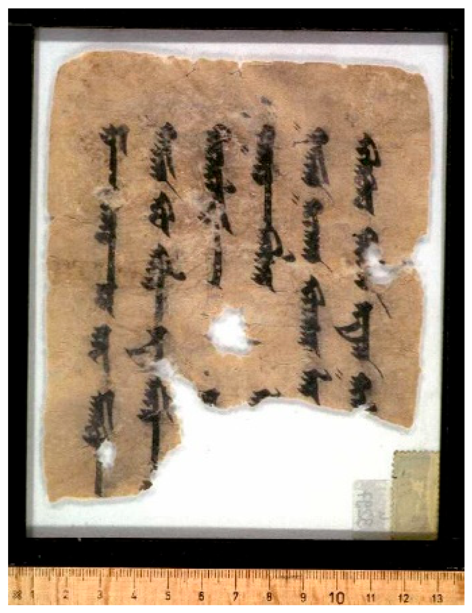 Religions 16 00899 g005