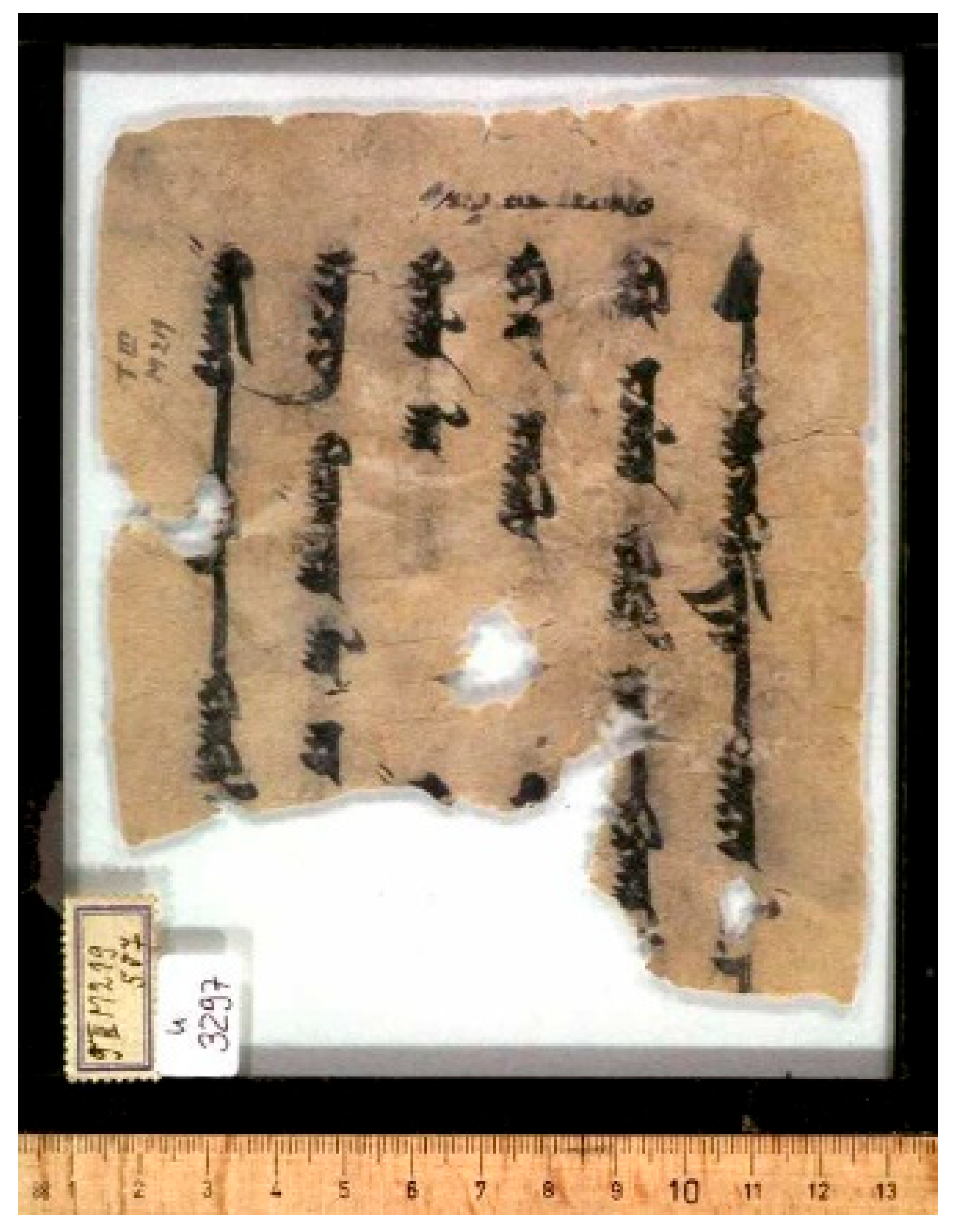 Religions 16 00899 g006